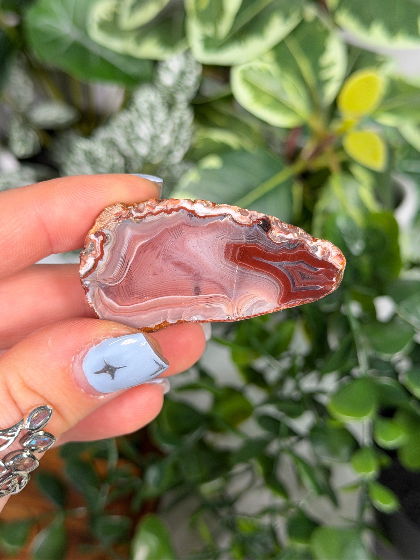 Agate Creek Agate 27d