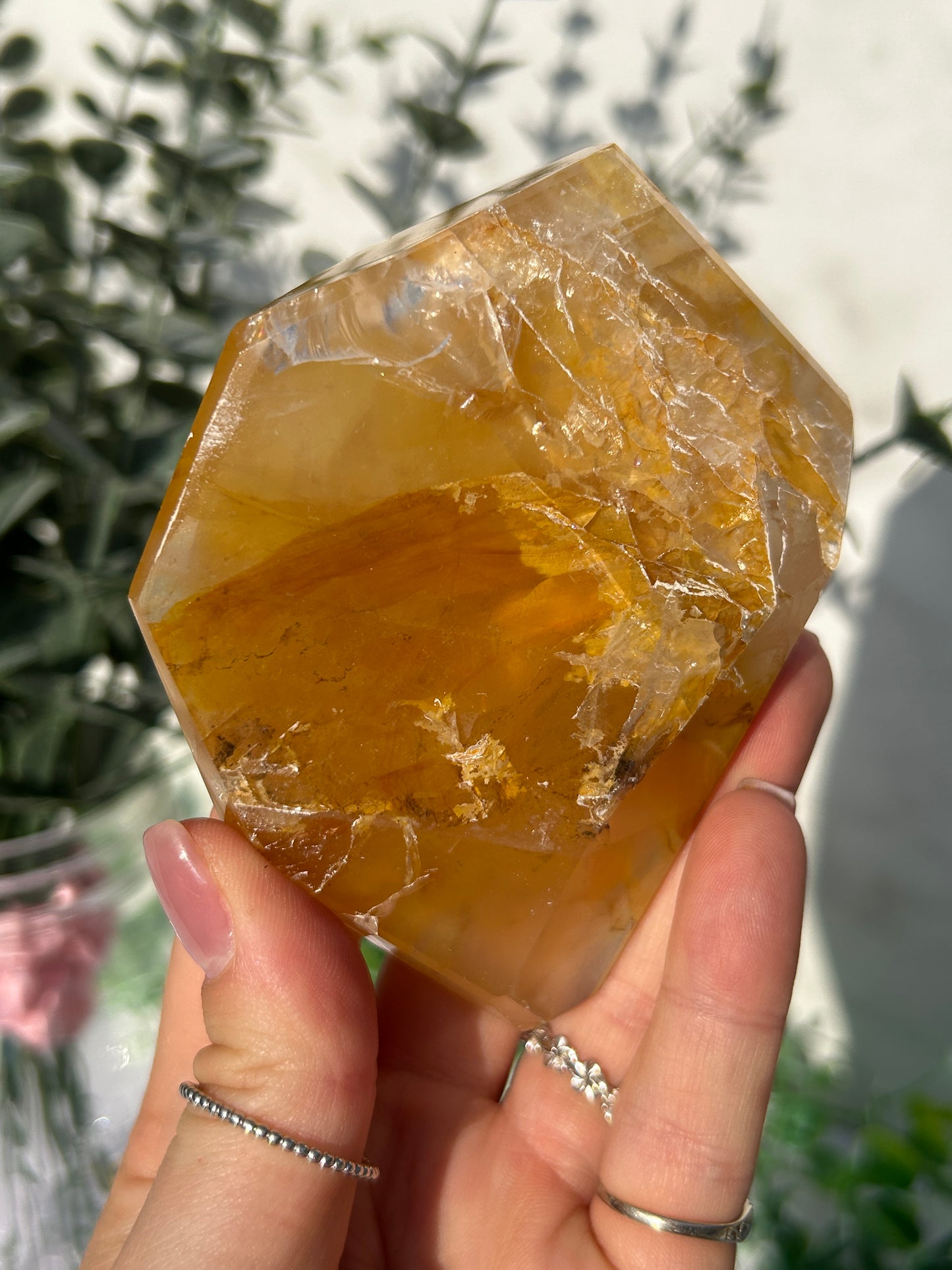 CLEAR OUT - Golden healer 48