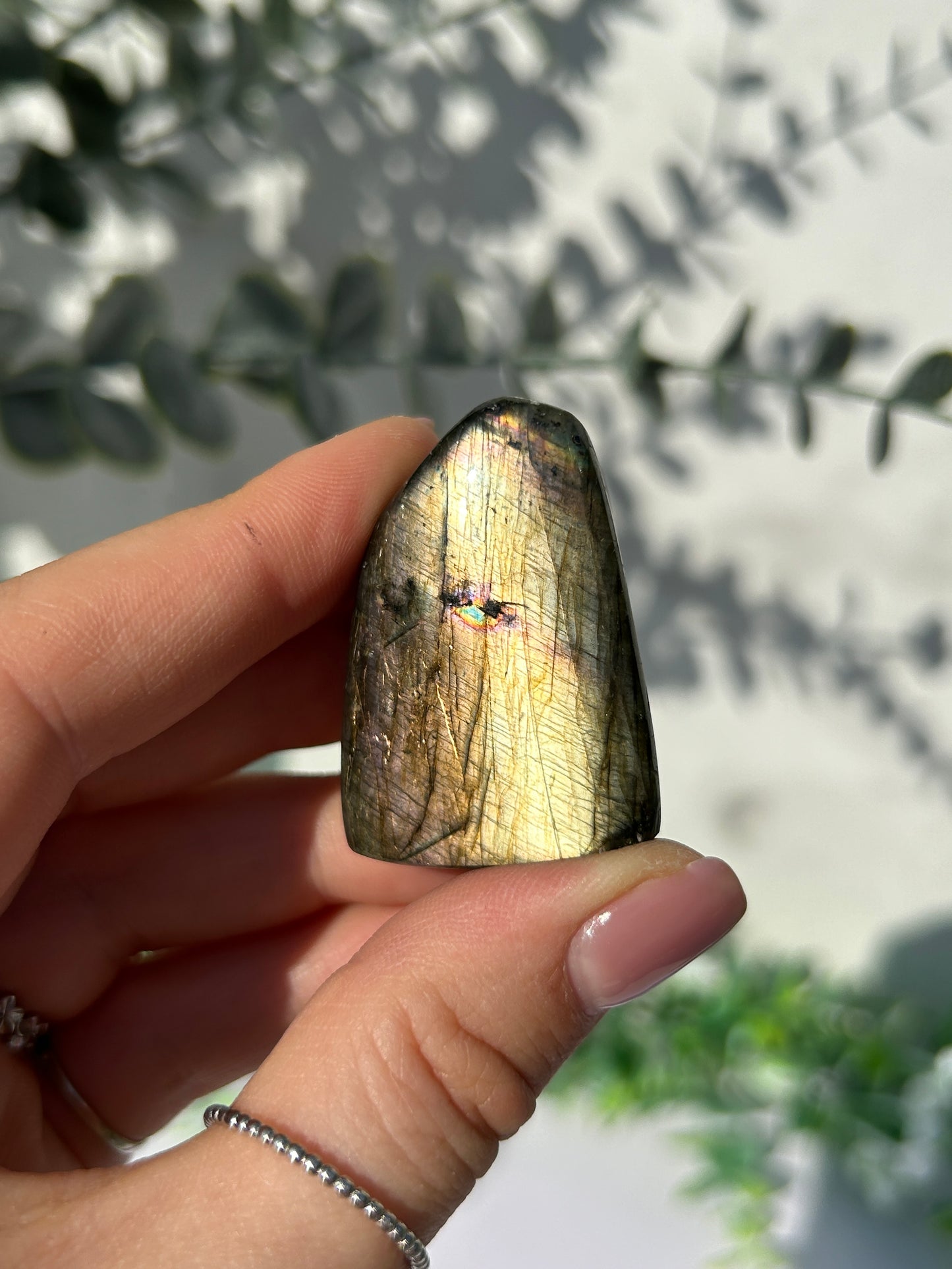 Labradorite Freeform 10c