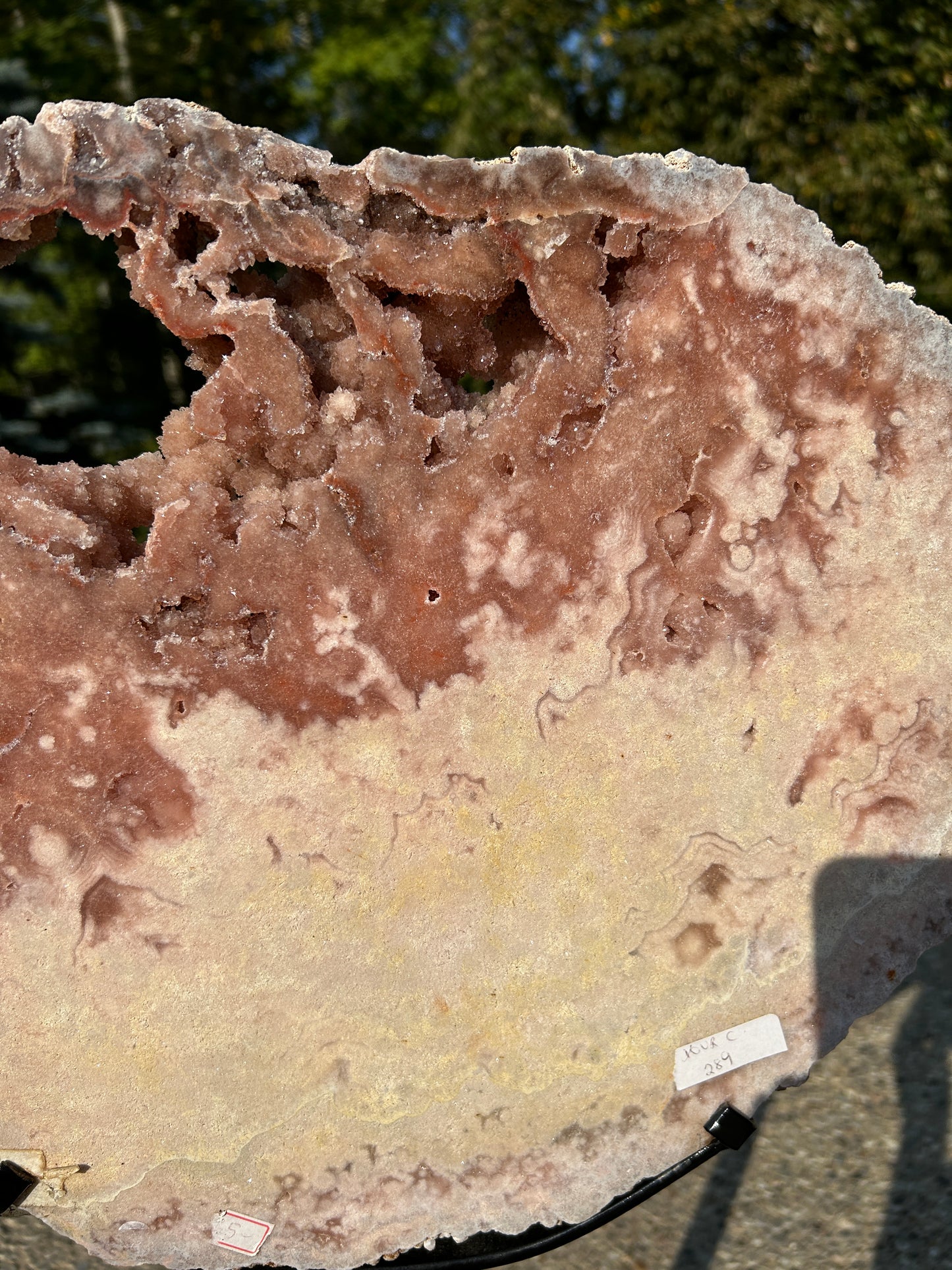 XXXL pink amethyst slab on spinning Stand 550
