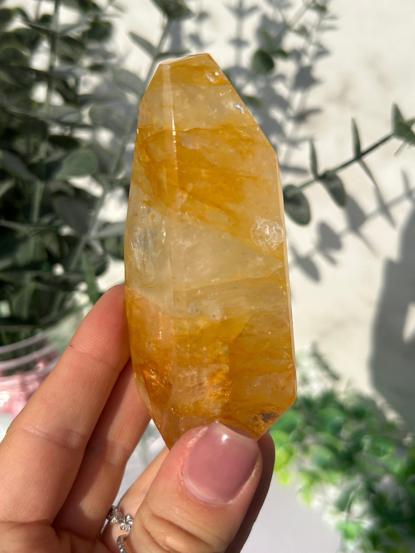 CLEAR OUT - Golden Healer 39