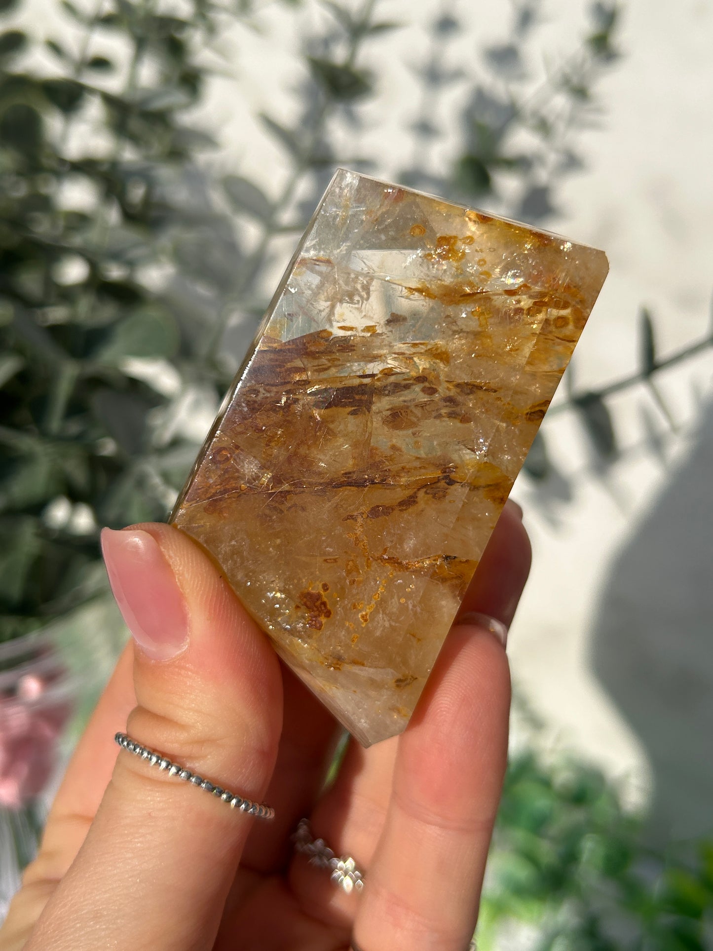 CLEAR OUT - Golden healer 23