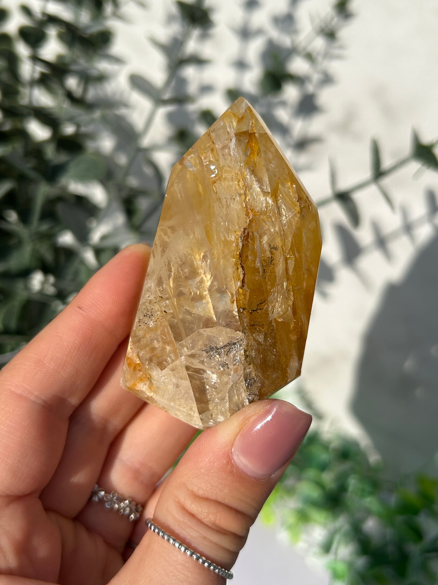 CLEAR OUT - Golden Healer 30