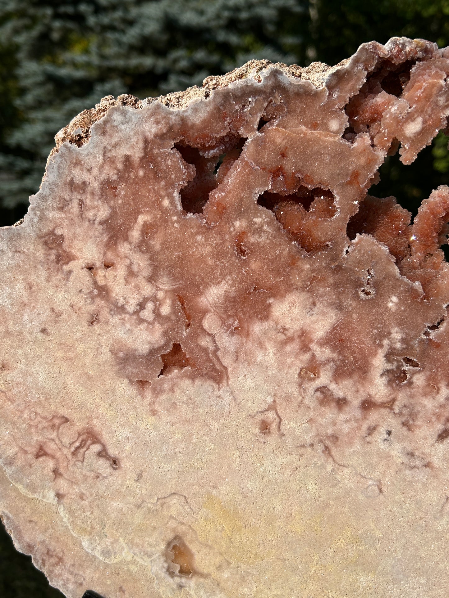 XXXL pink amethyst slab on spinning stand 500