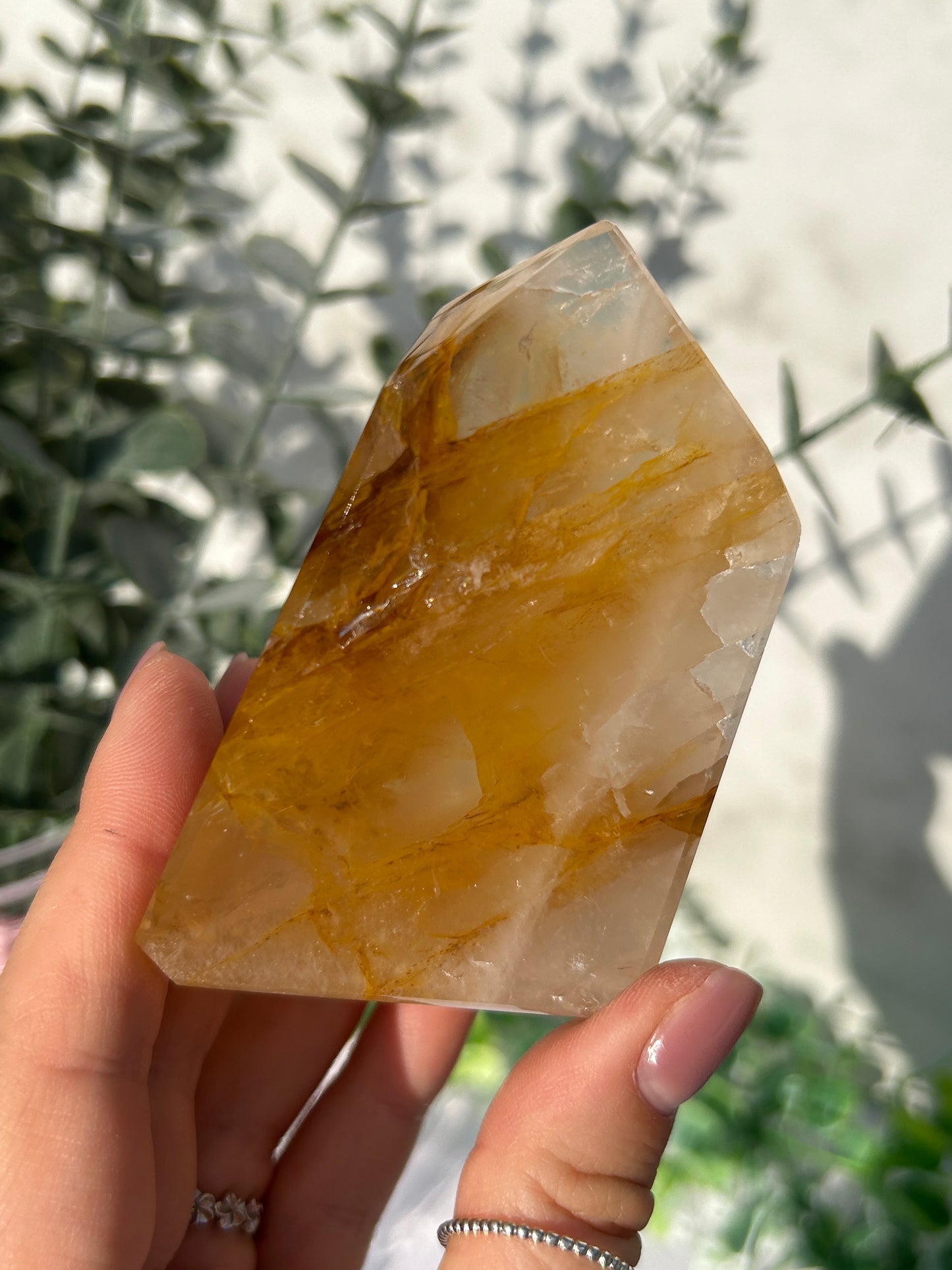 CLEAR OUT - Golden healer 40B