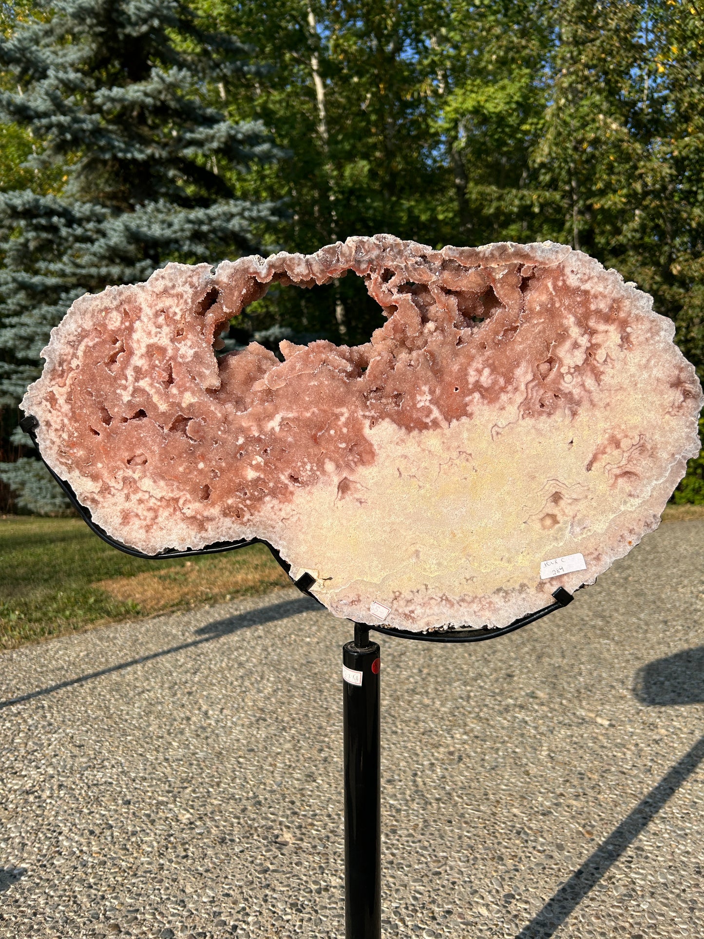 XXXL pink amethyst slab on spinning Stand 550