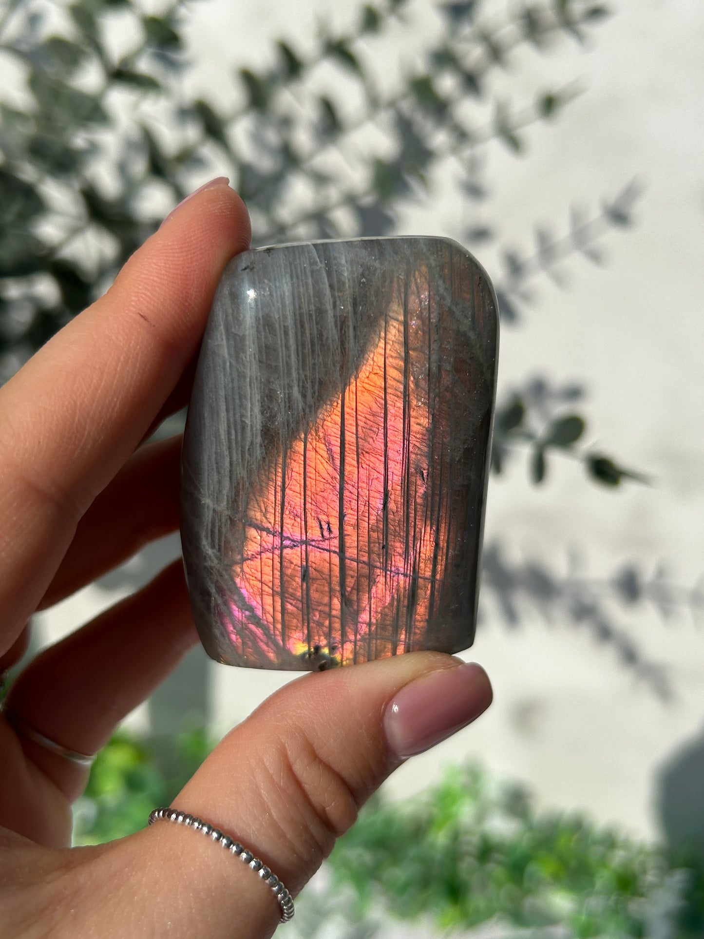 Labradorite Freeform 20r