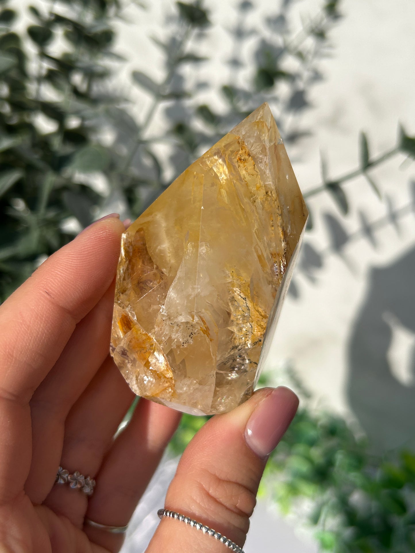 CLEAR OUT - Golden Healer 30