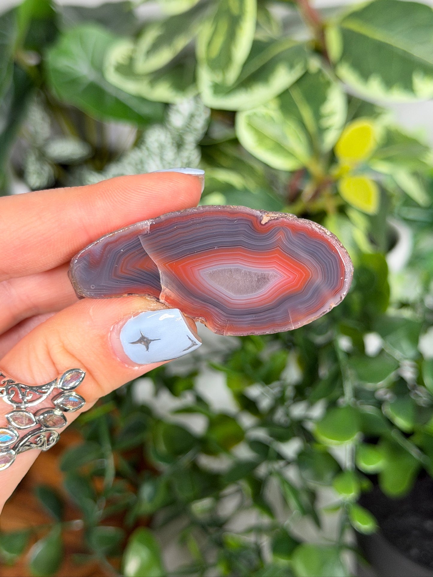 Agate Creek Agate 27a