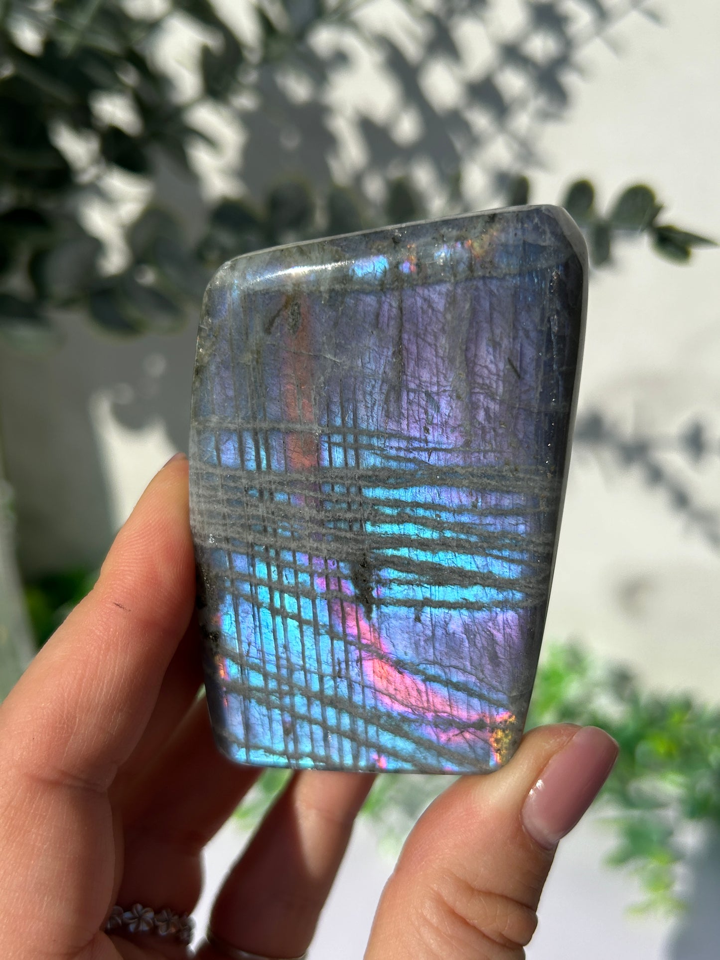 Labradorite Freeform 27i