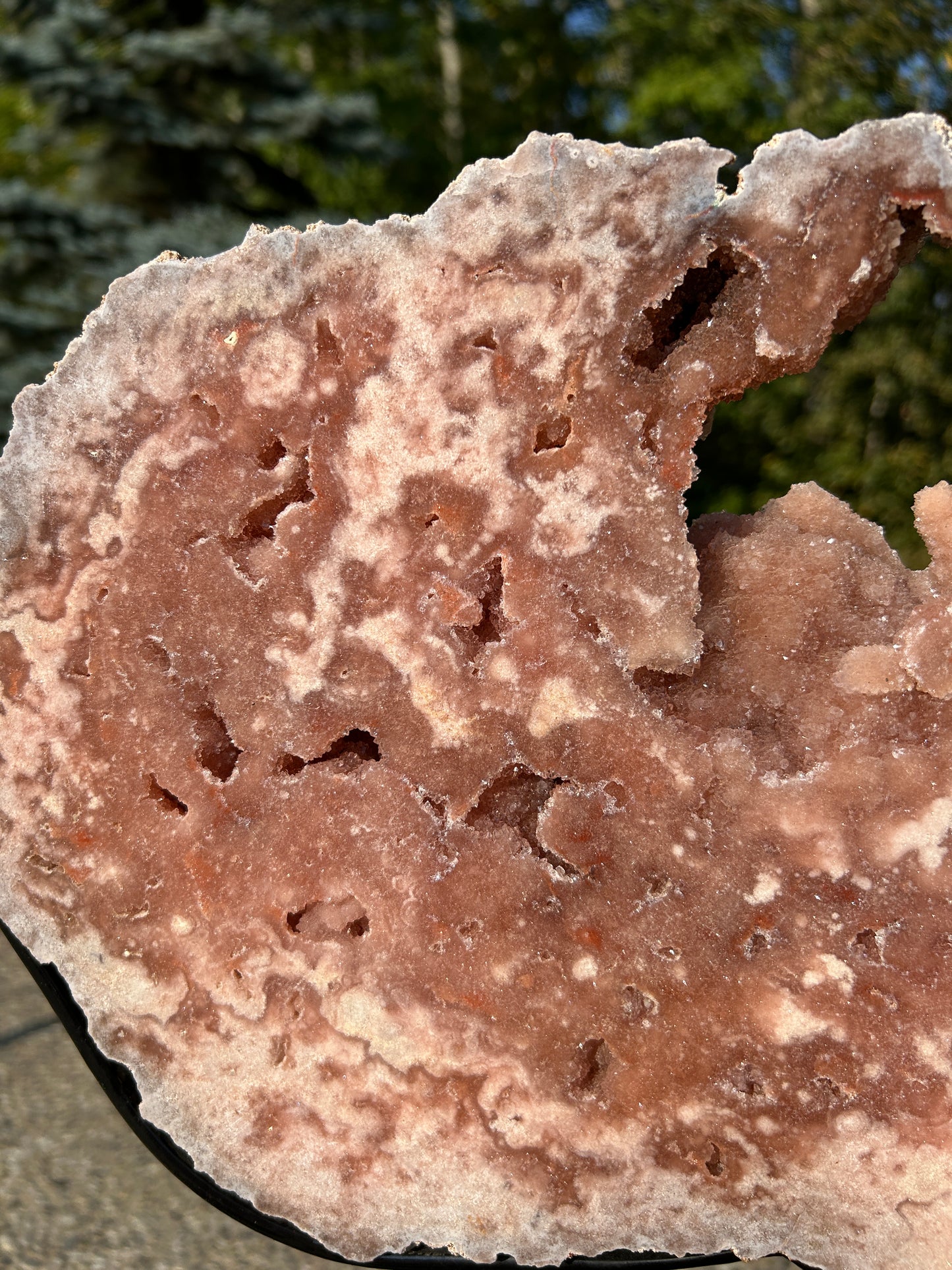 XXXL pink amethyst slab on spinning Stand 550