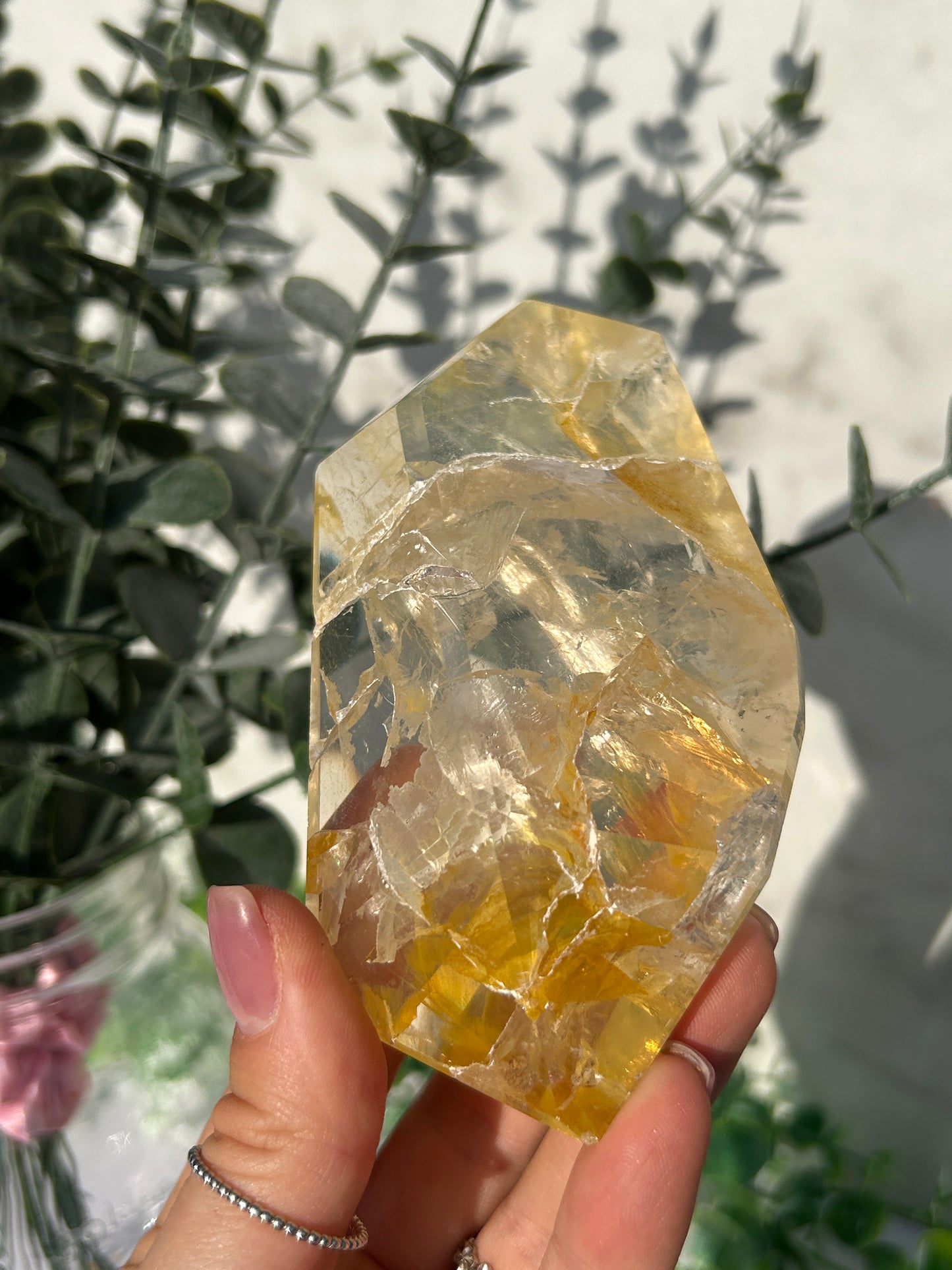 CLEAR OUT - Golden Healer 65