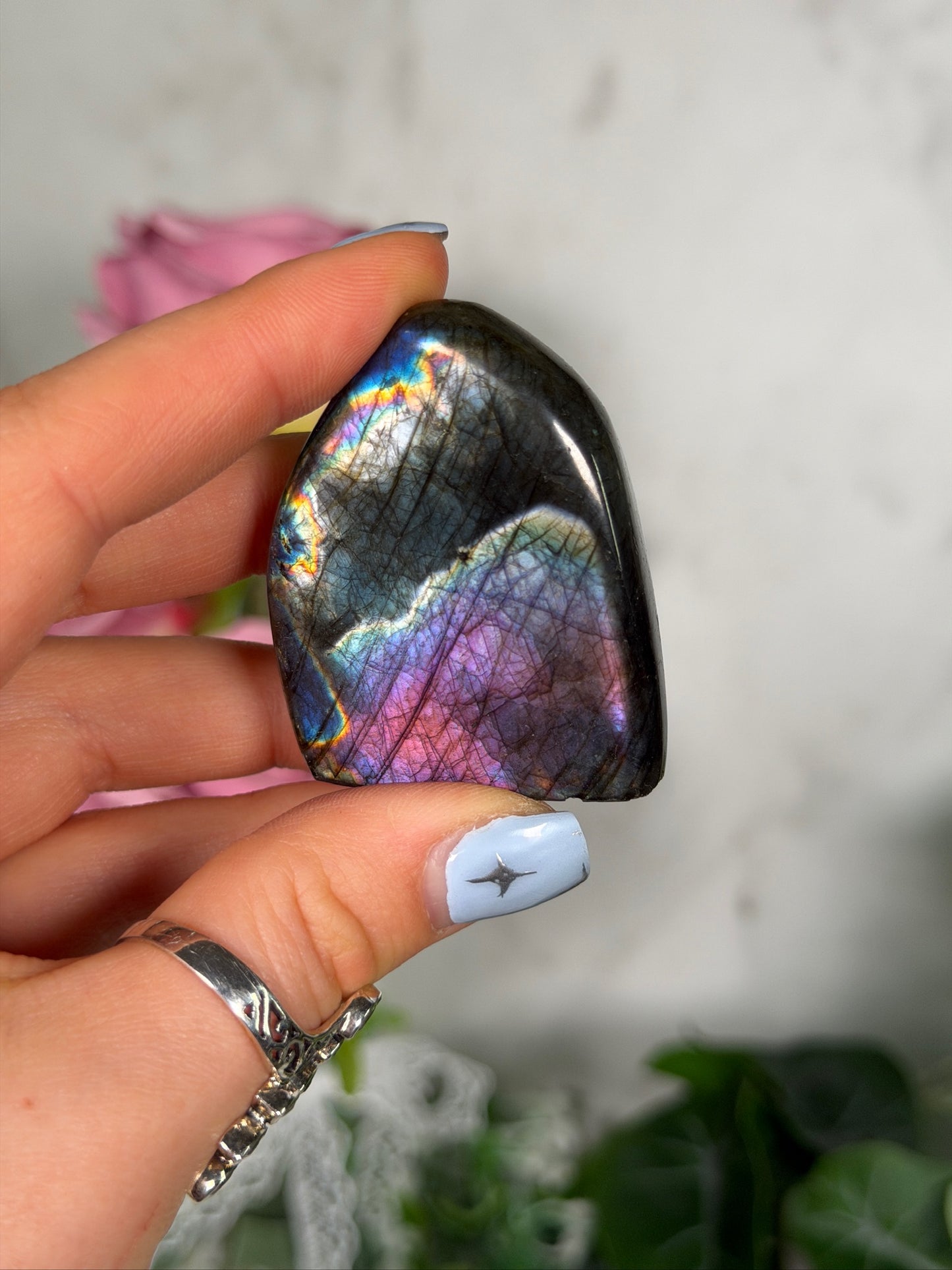 Labradorite Freeform 19h