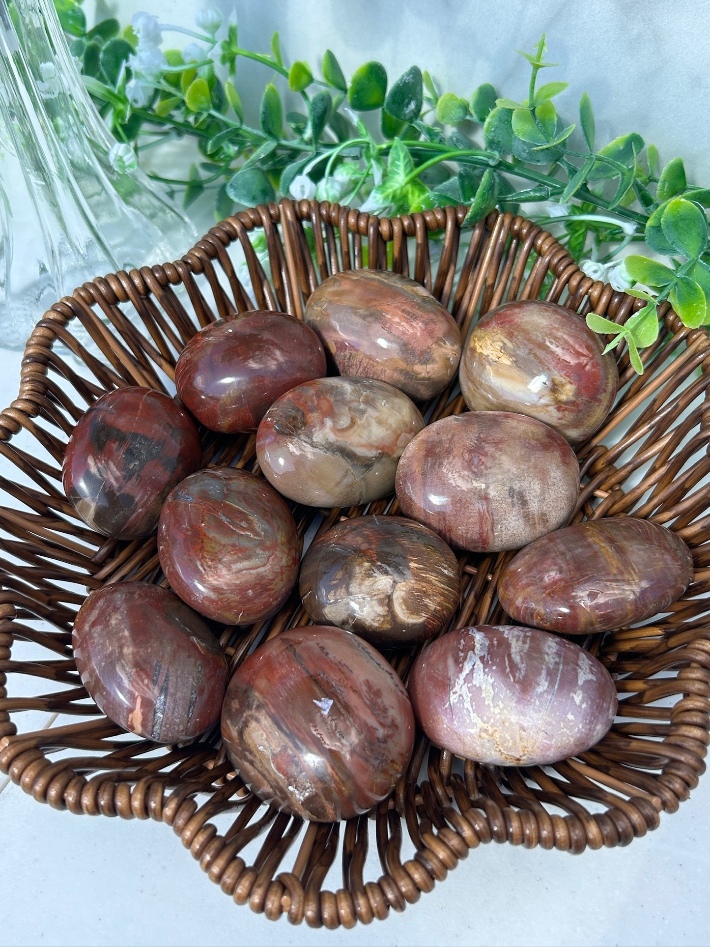 Petrified wood palms