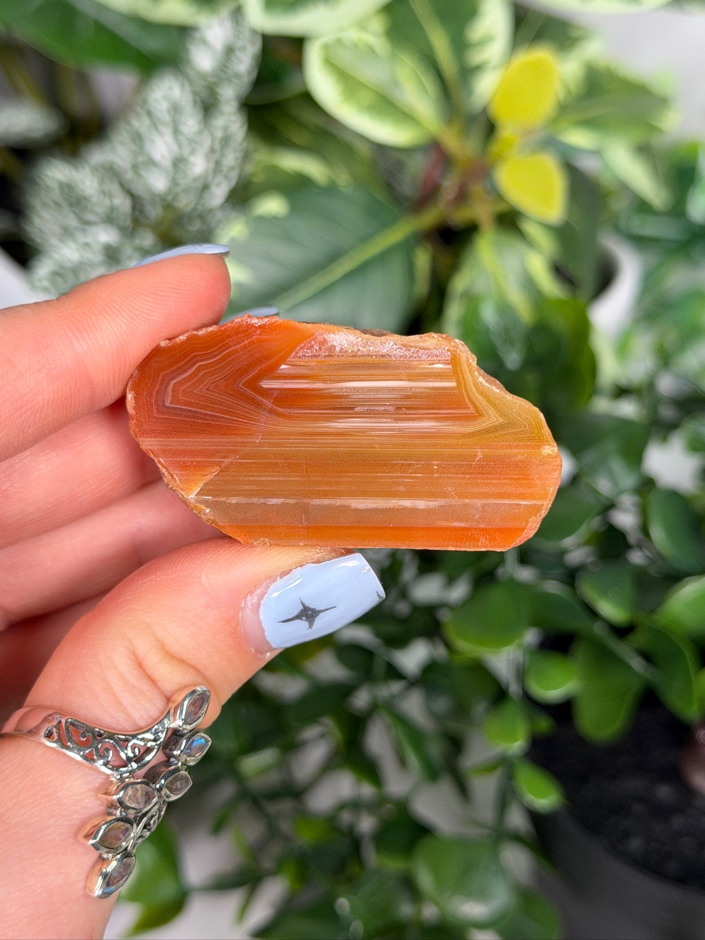 Agate Creek Agate 30b