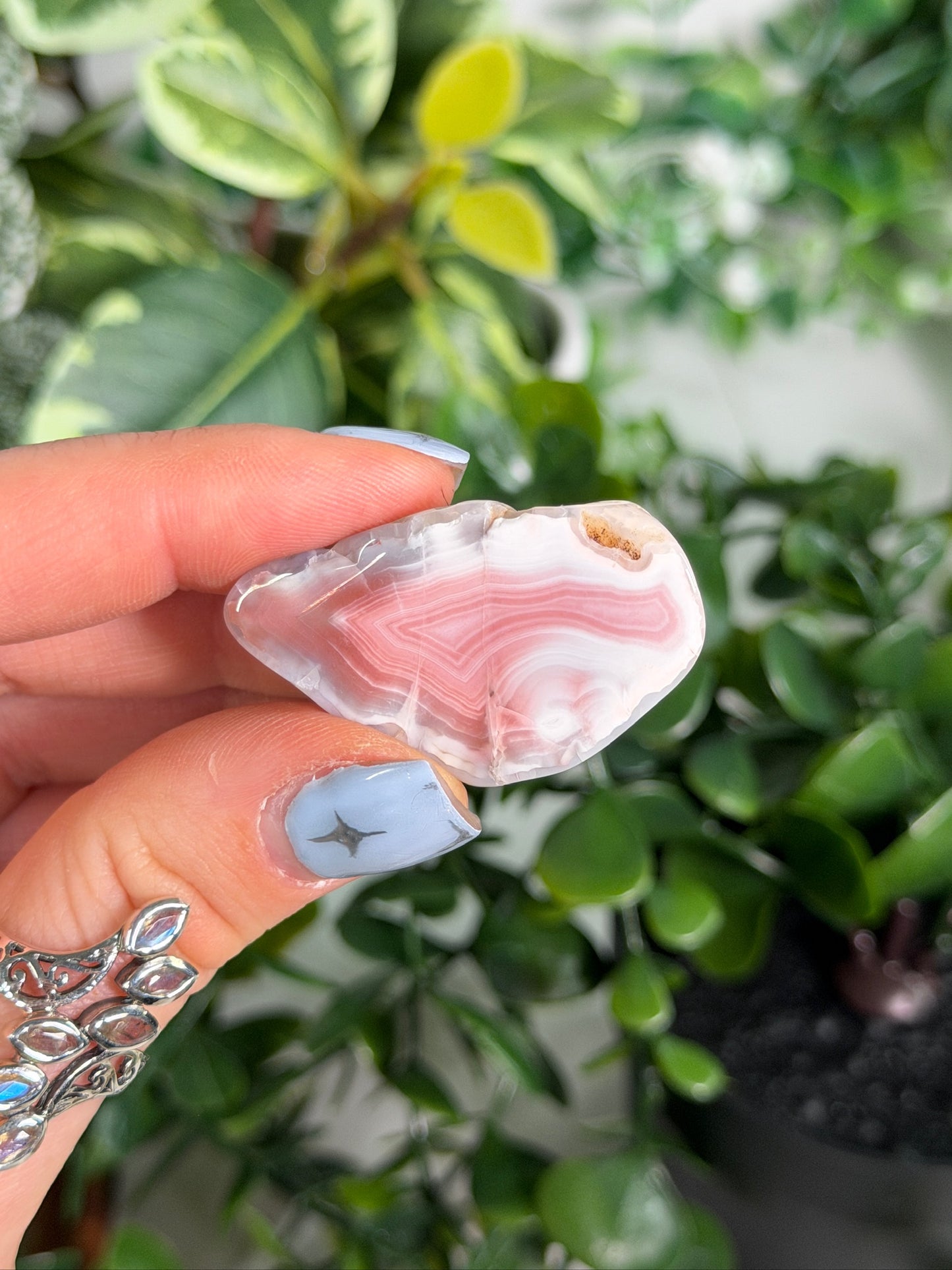 Agate Creek Agate 15d