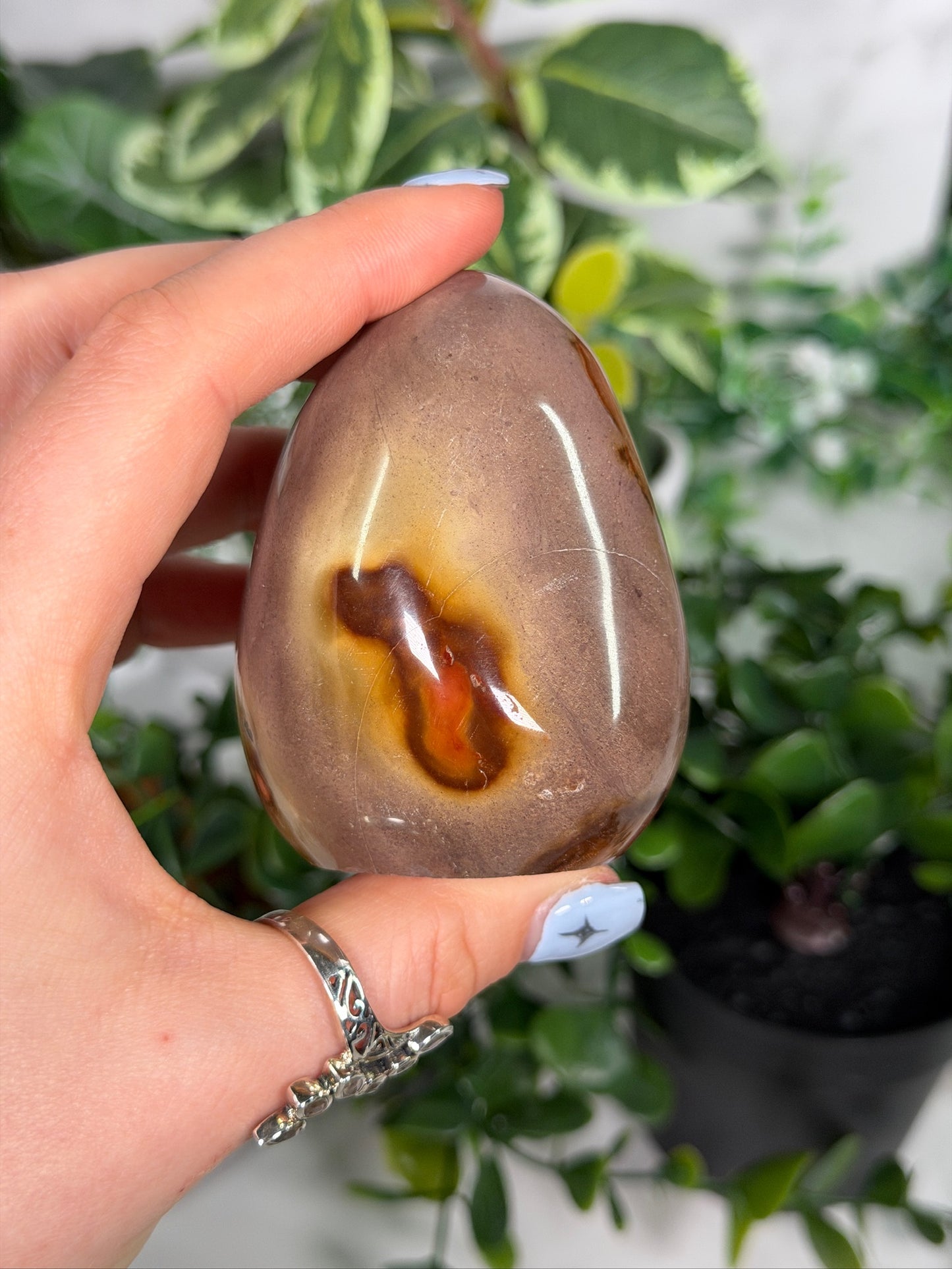 Polychrome Freeform 20