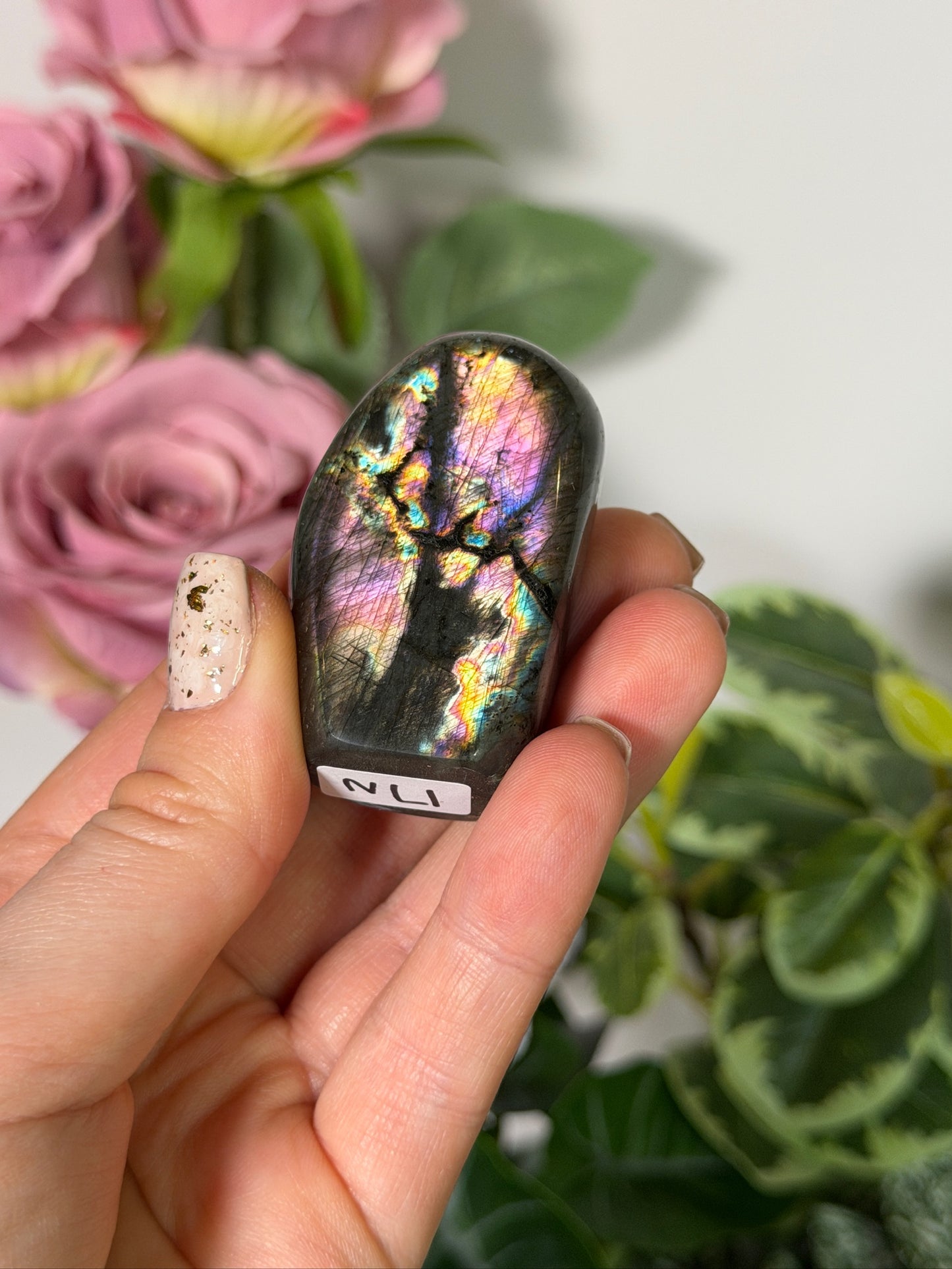 Labradorite Freeform 17n