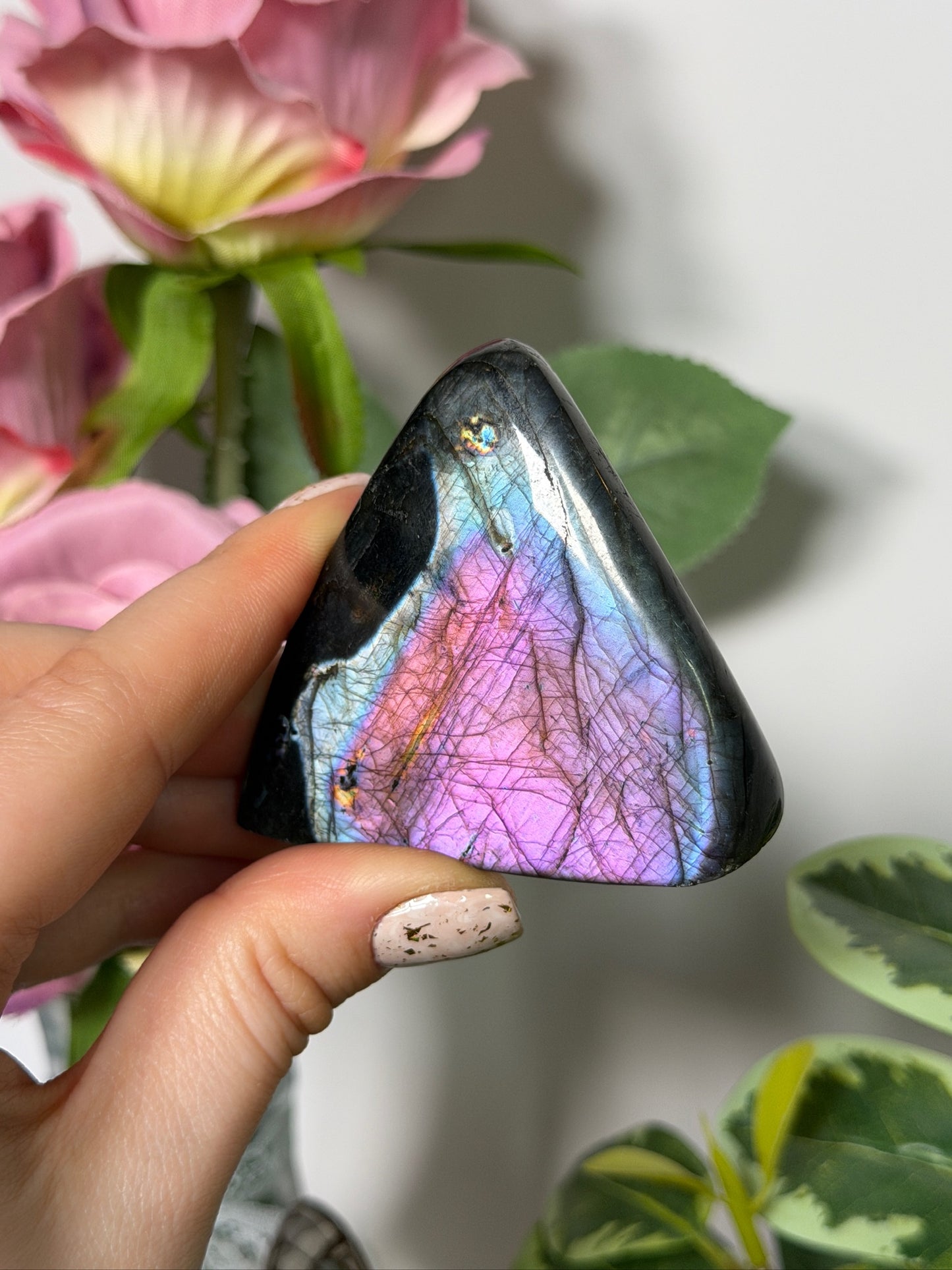 Labradorite Freeform 35P