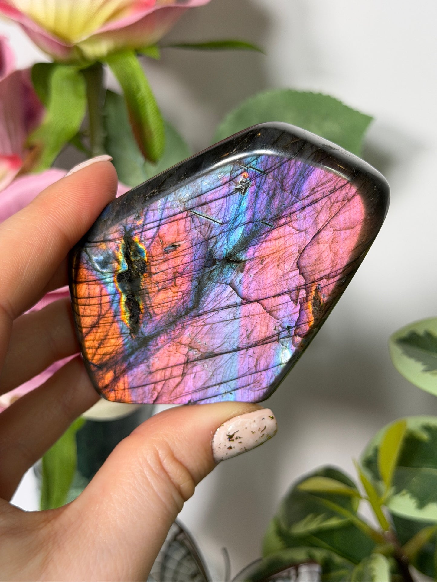 Labradorite Freeform 60s