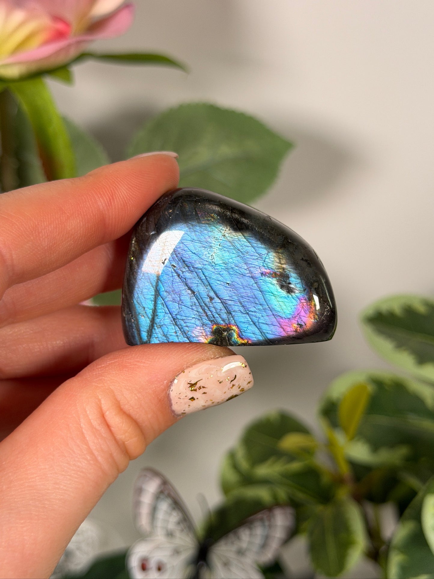 Labradorite Freeform 11i