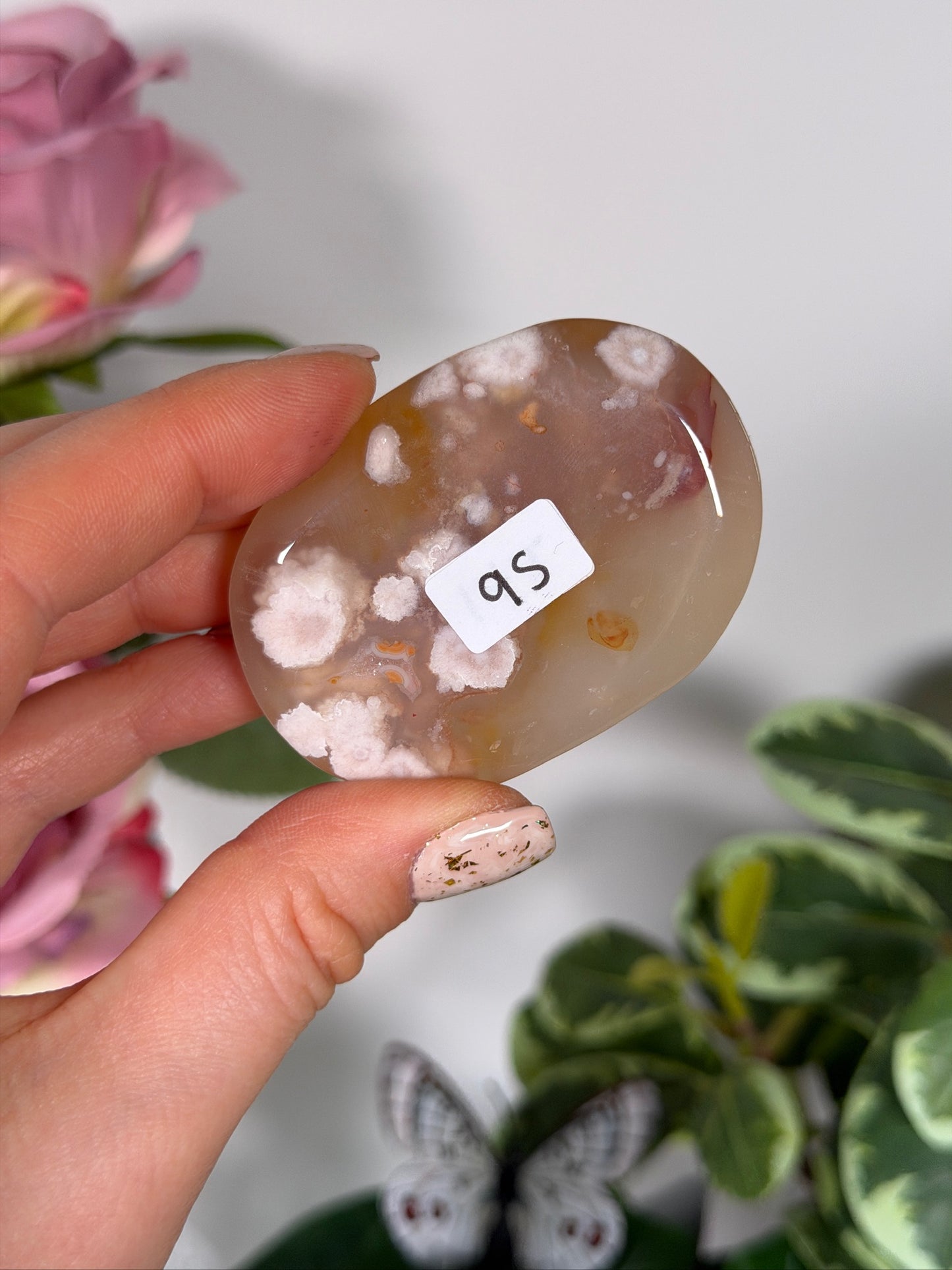 Flower agate palm 9s