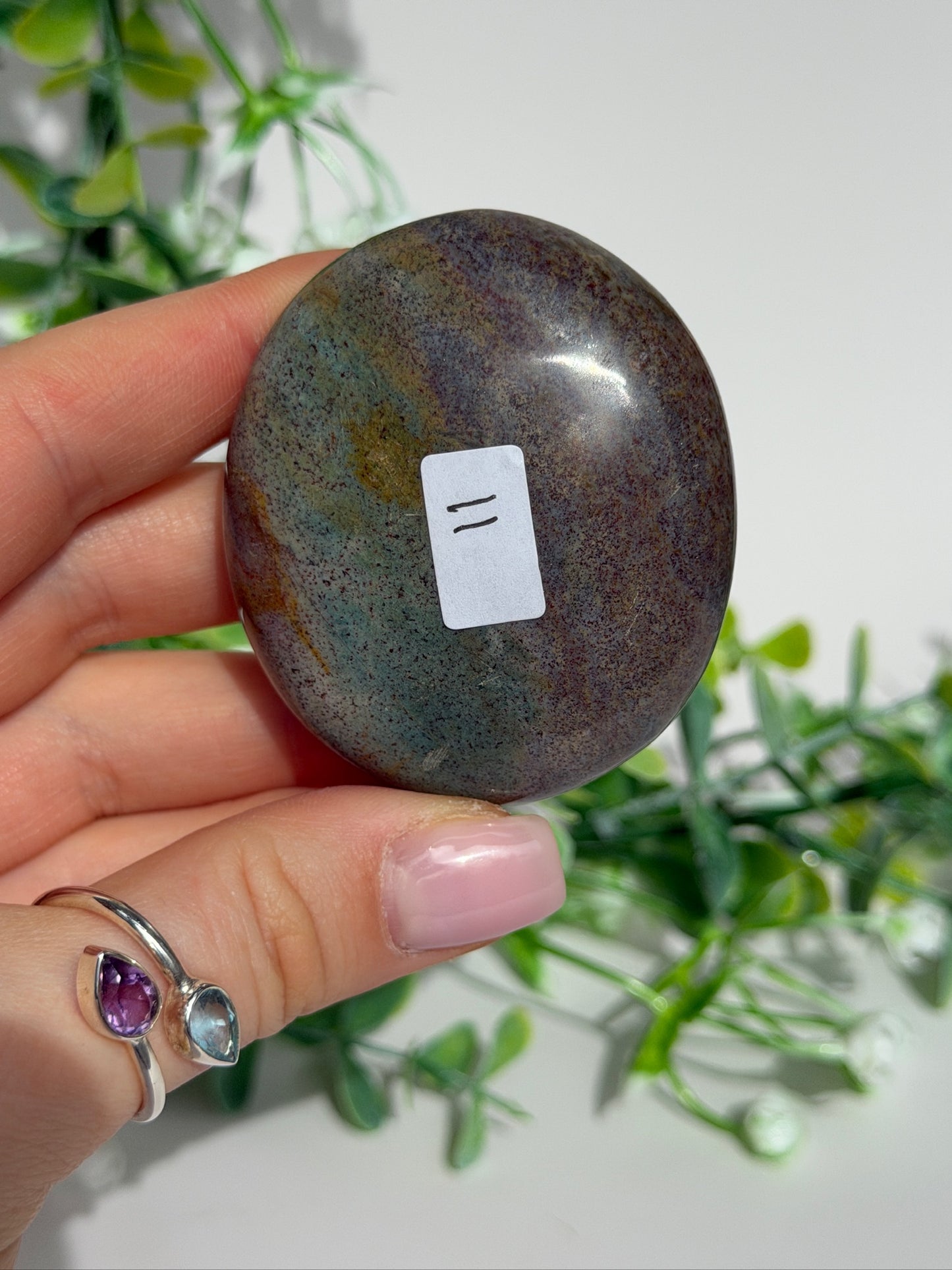 Sea jasper palm 11