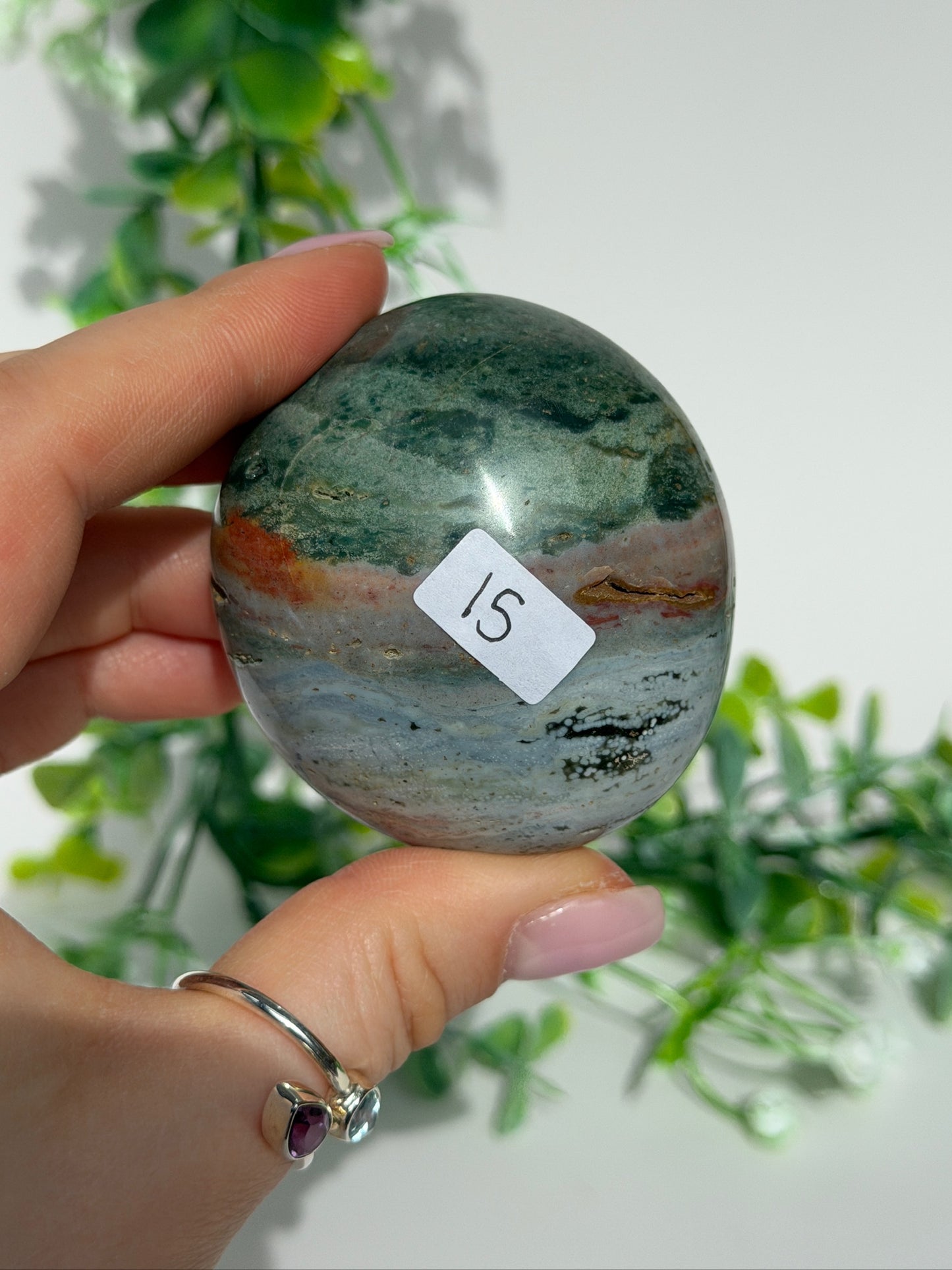 Sea jasper palm 15