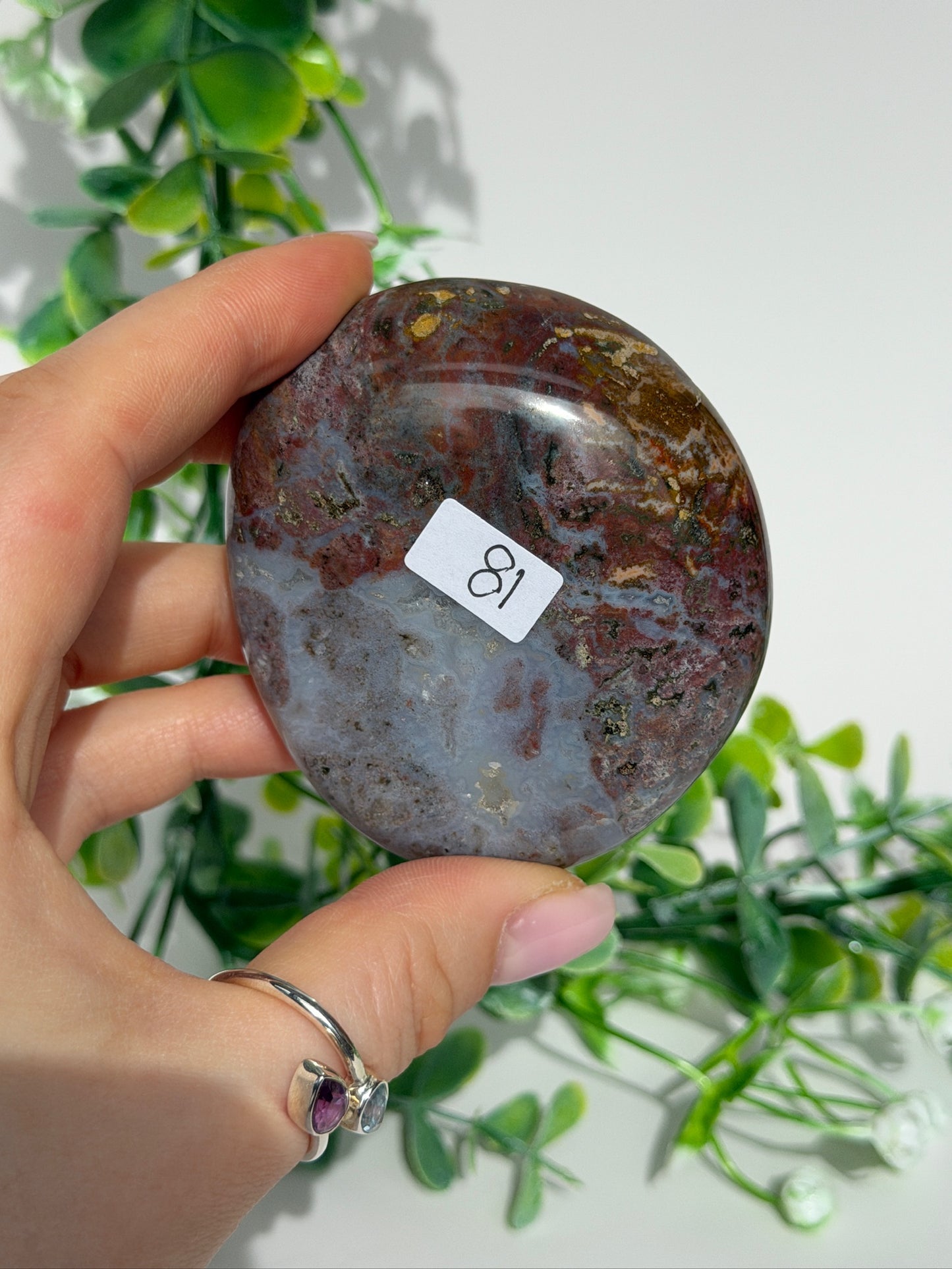 Sea jasper palm 18