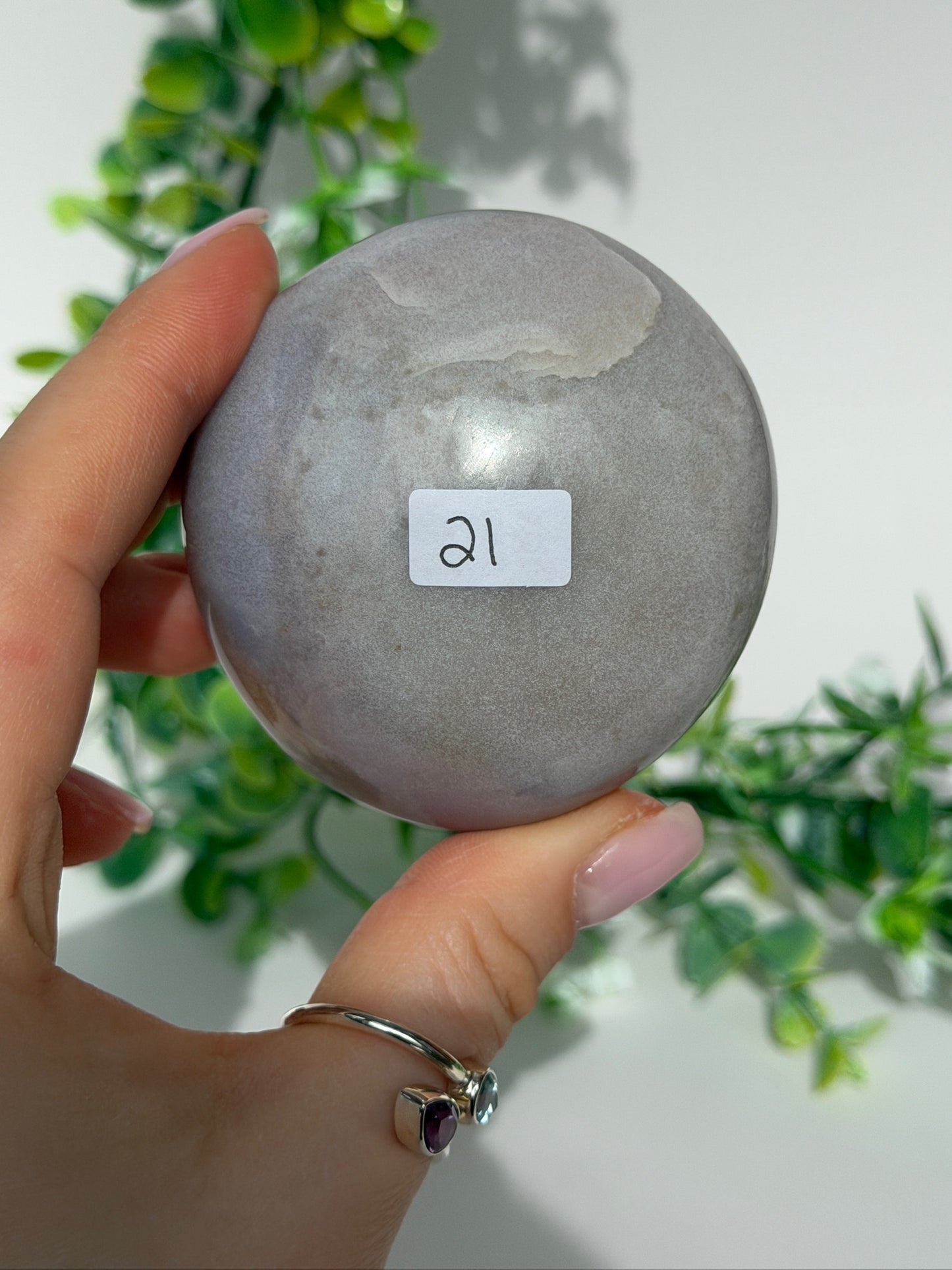 Sea jasper palm 21