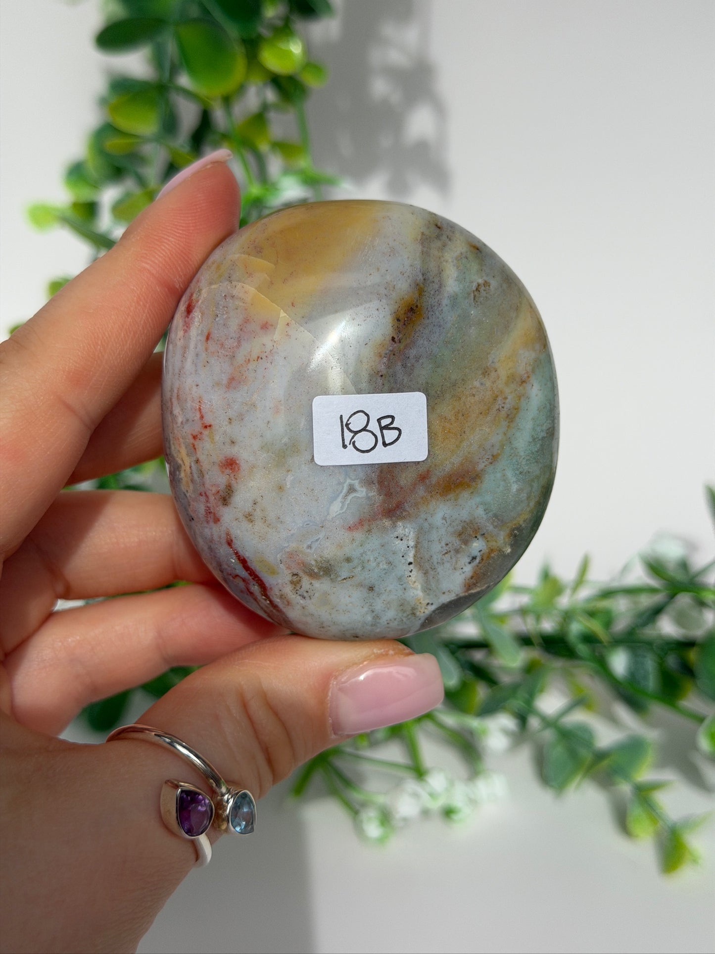 Sea jasper palm 18b
