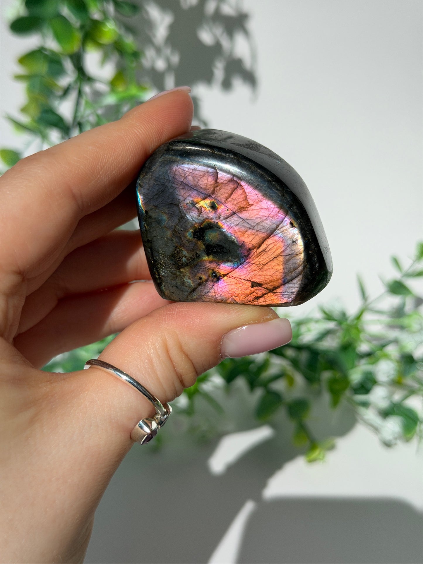 Labradorite Freeform 15
