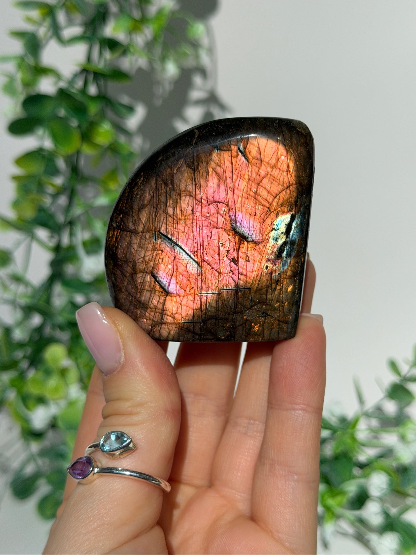 Labradorite Freeform 20t