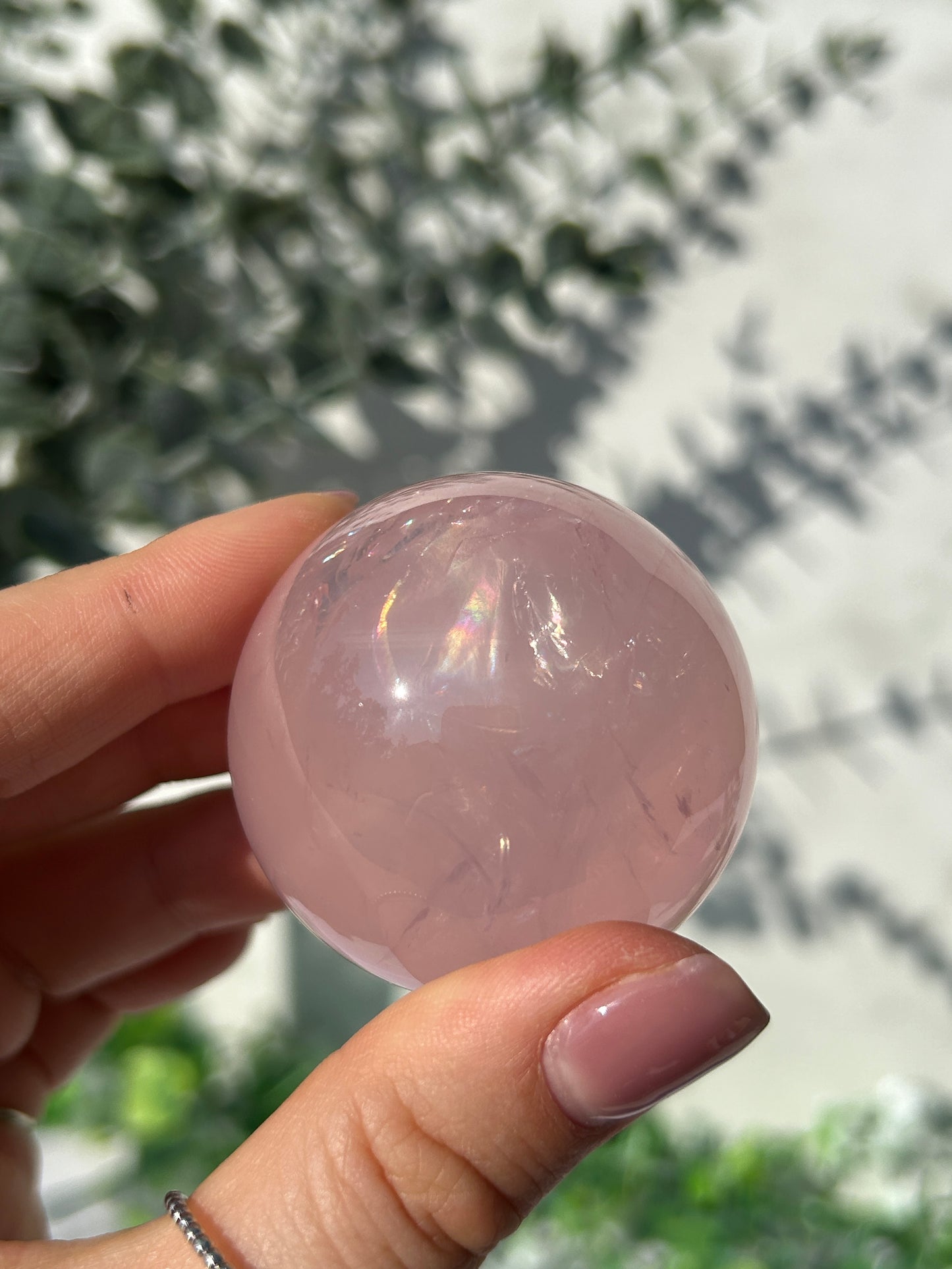 Star rose quartz sphere 43