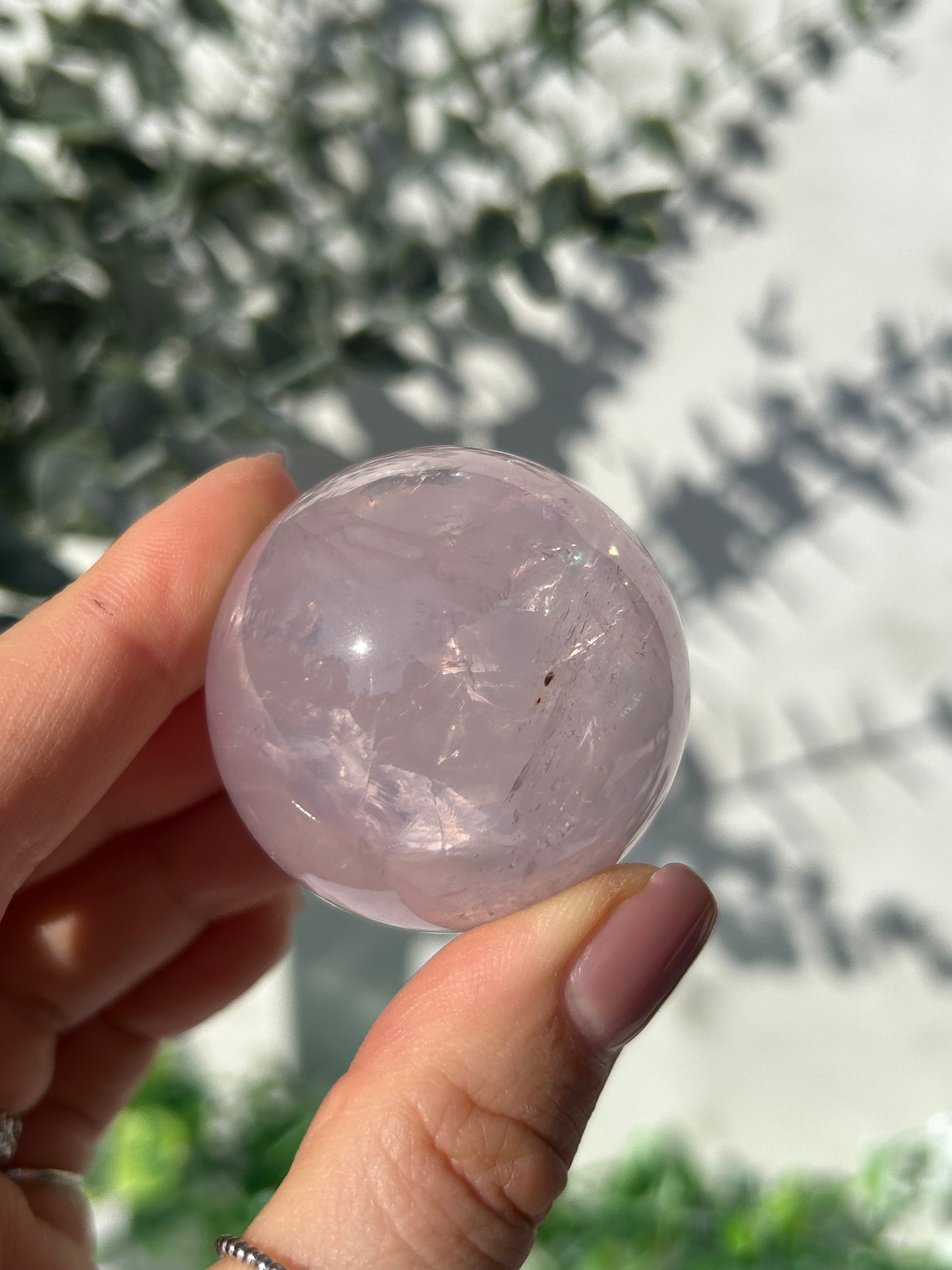 Star rose quartz sphere 33