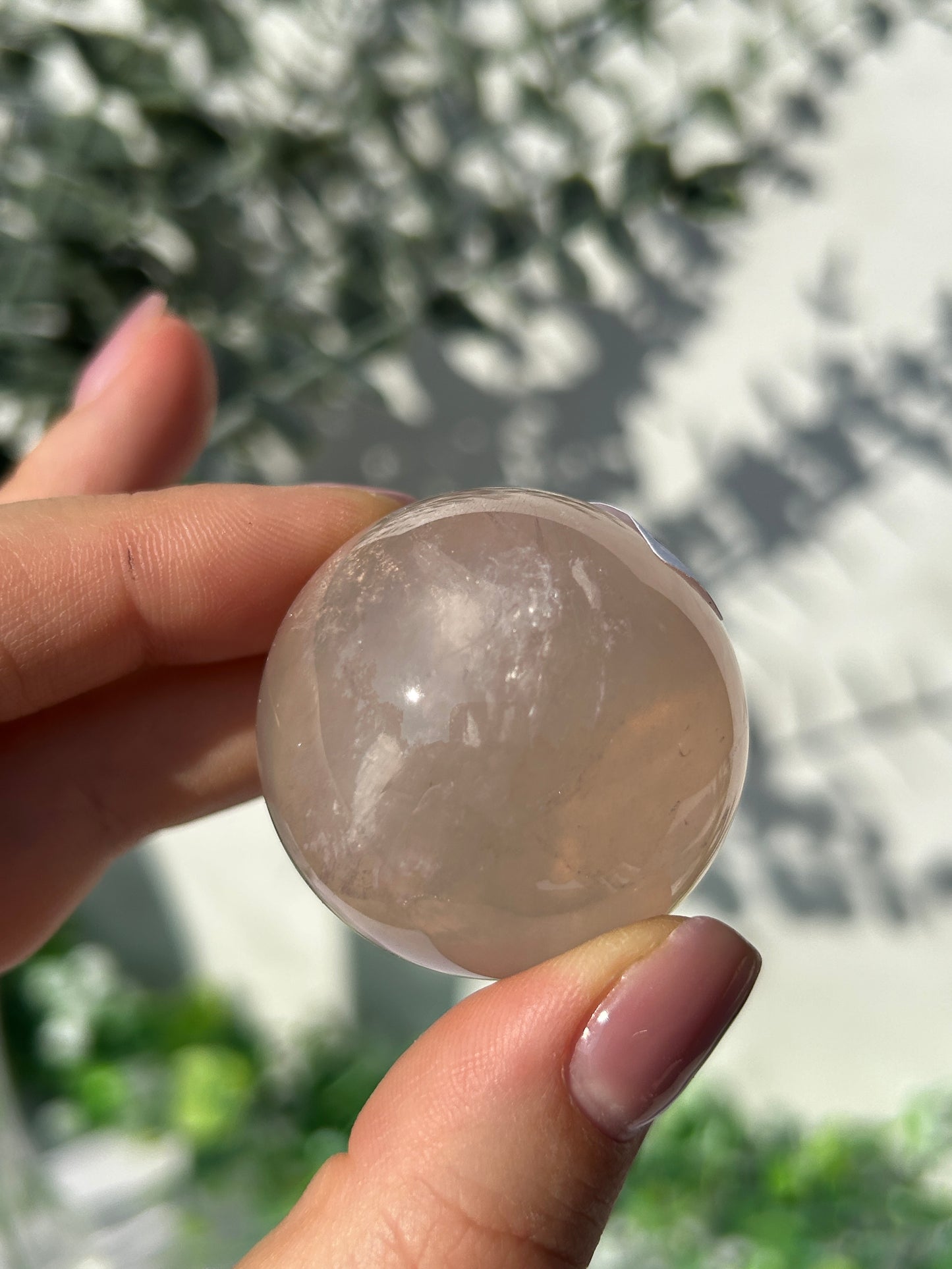 Star rose quartz sphere 21T