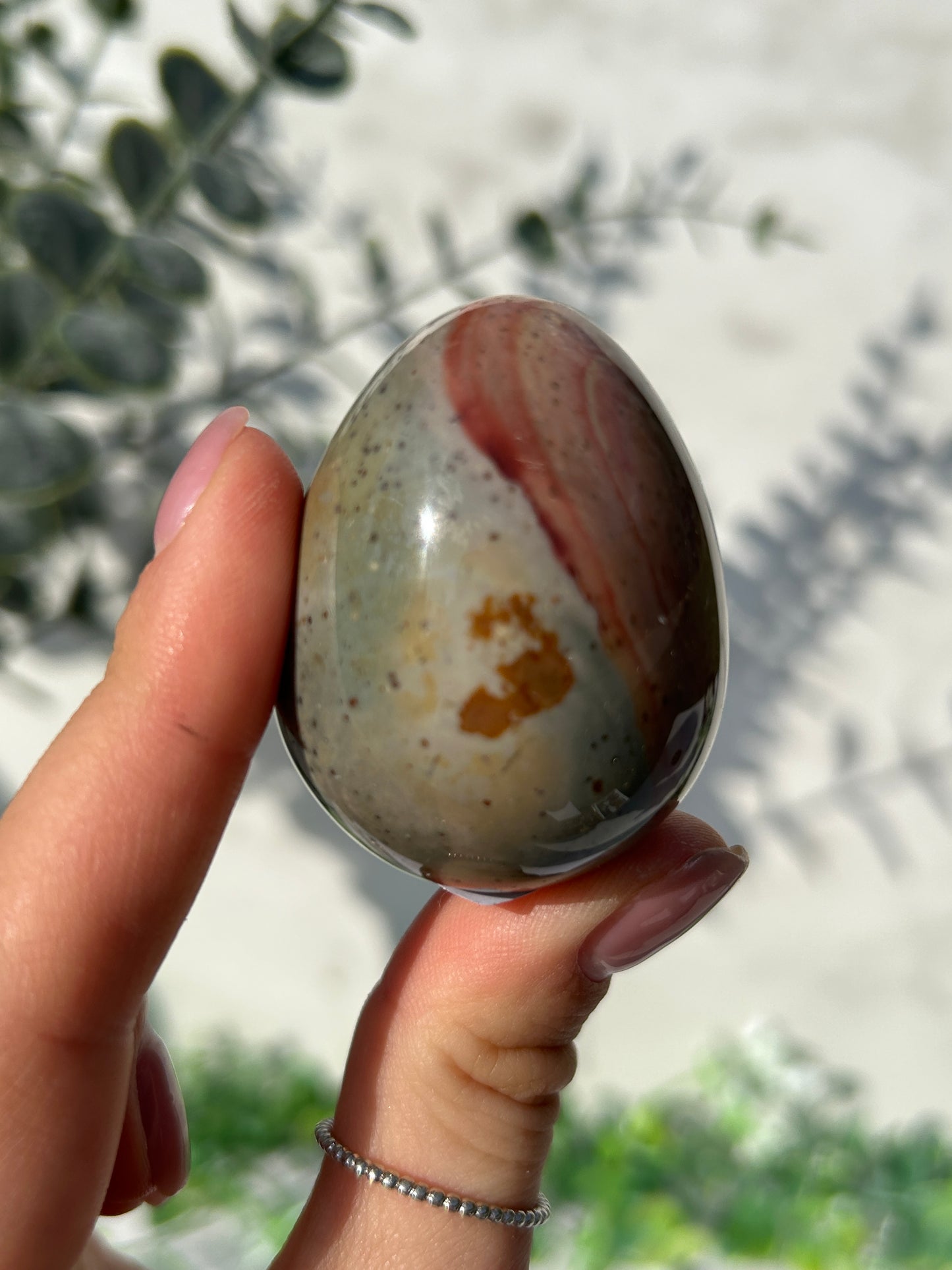 Polychrome egg 6j