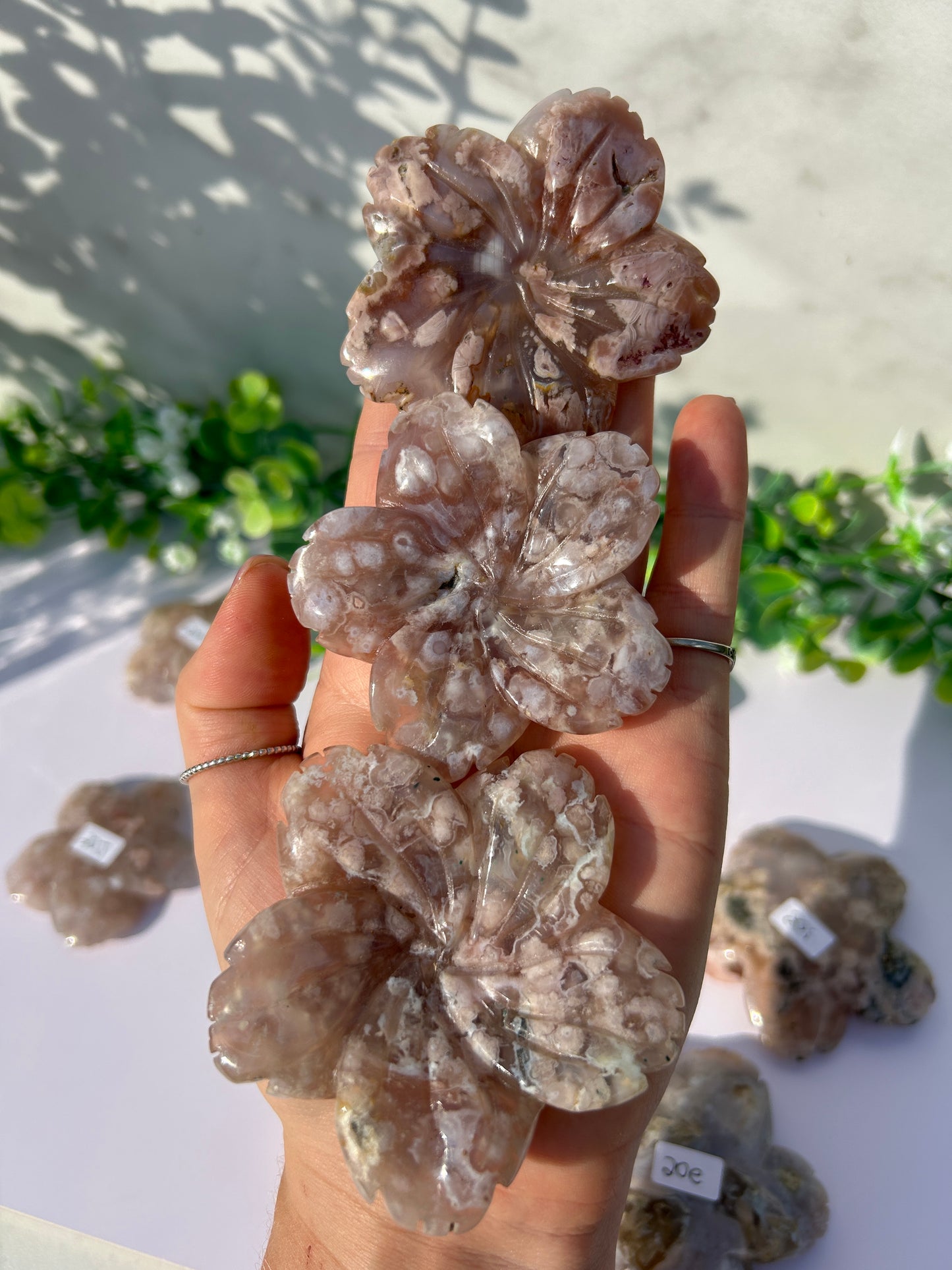 Flower agate flowers