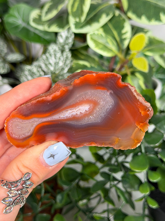 Agate Creek Agate 36p