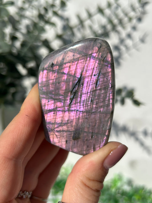 Labradorite Freeform 19x