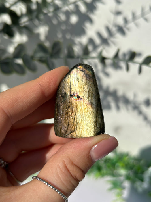 Labradorite Freeform 10c