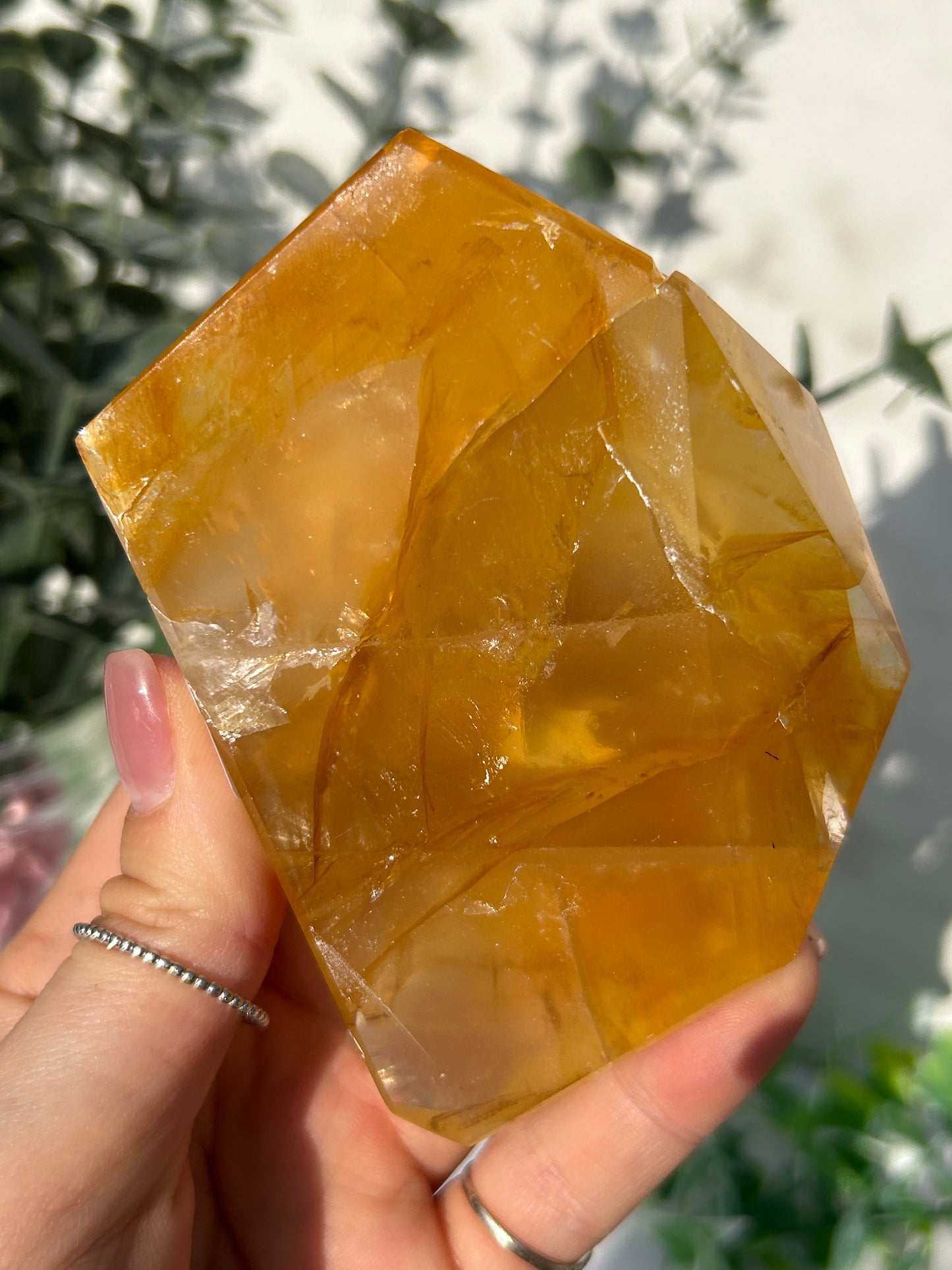 CLEAR OUT - Golden healer 48
