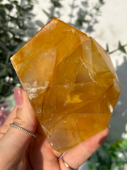 CLEAR OUT - Golden healer 48
