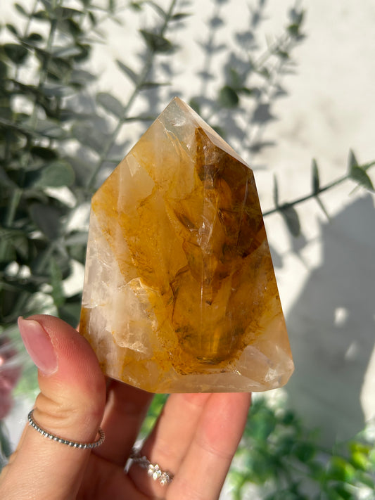 CLEAR OUT - Golden healer 40B
