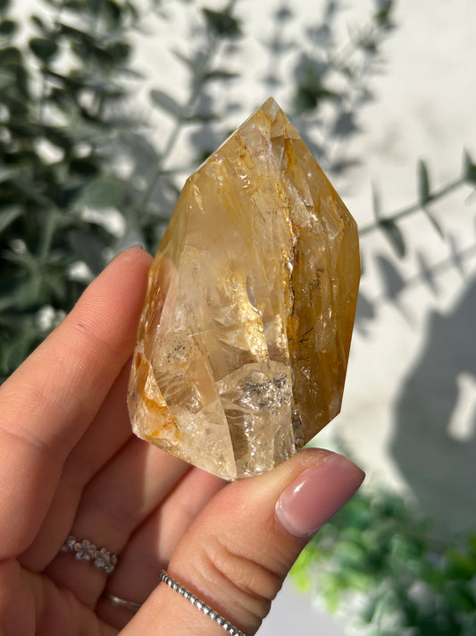 CLEAR OUT - Golden Healer 30