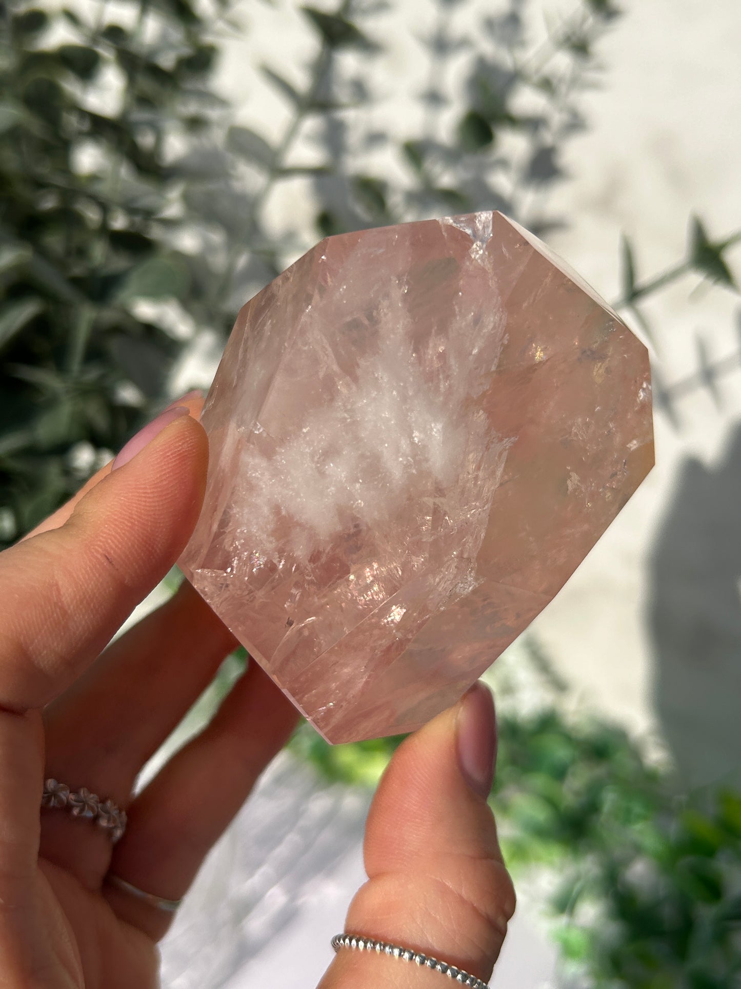 CLEAR OUT - Rose Quartz 50