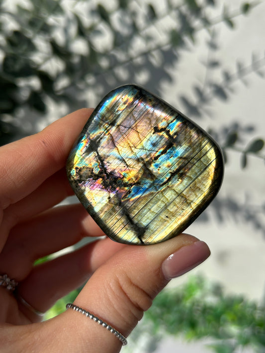 Labradorite Freeform 16q
