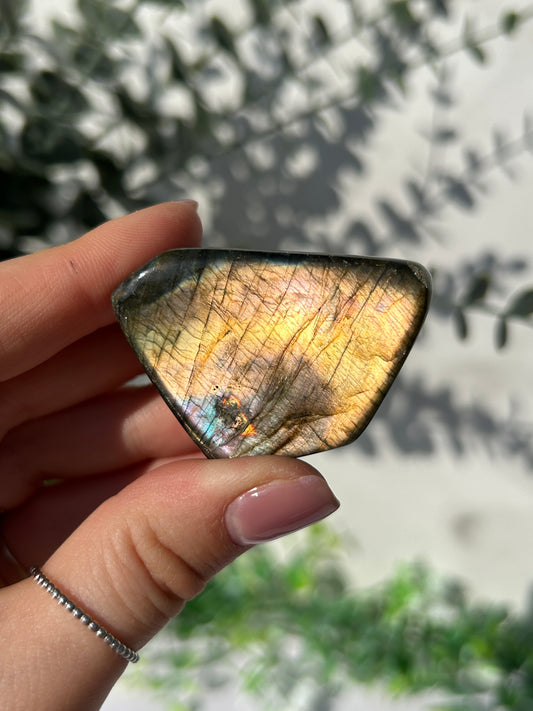 Labradorite Freeform 10k