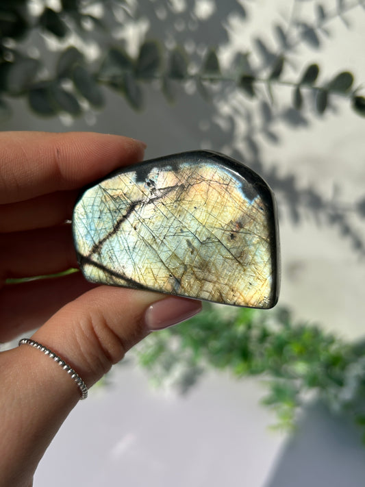 Labradorite Freeform 12s