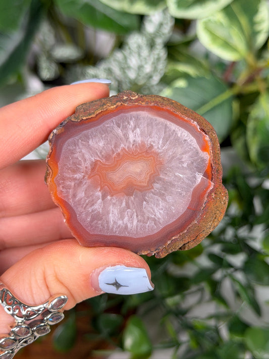 Agate Creek Agate 29f